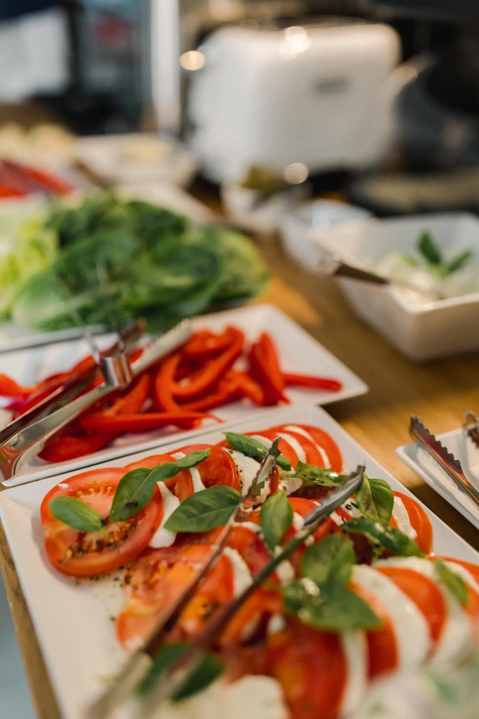 Villa Monica Apartamenty