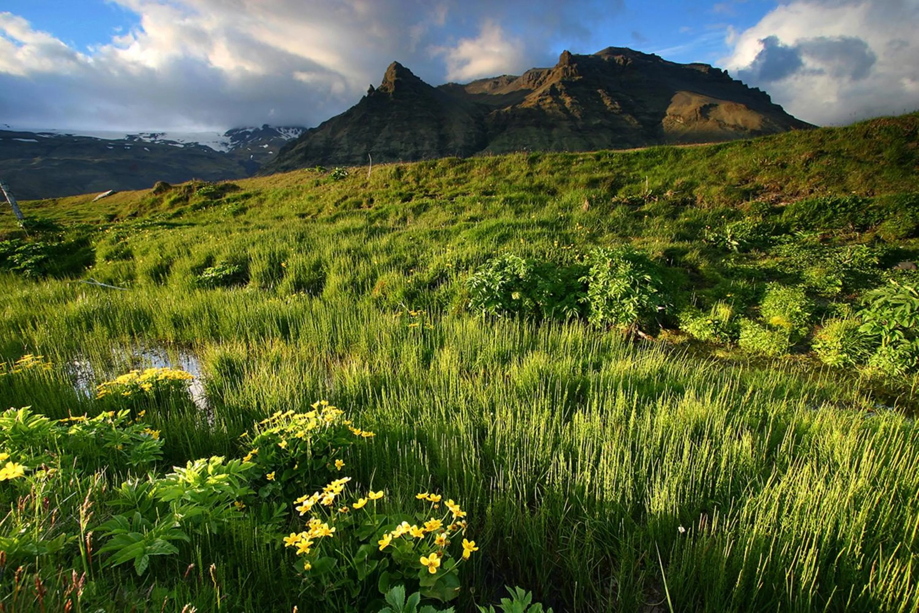 Area and facilities in Welcome Lambafell