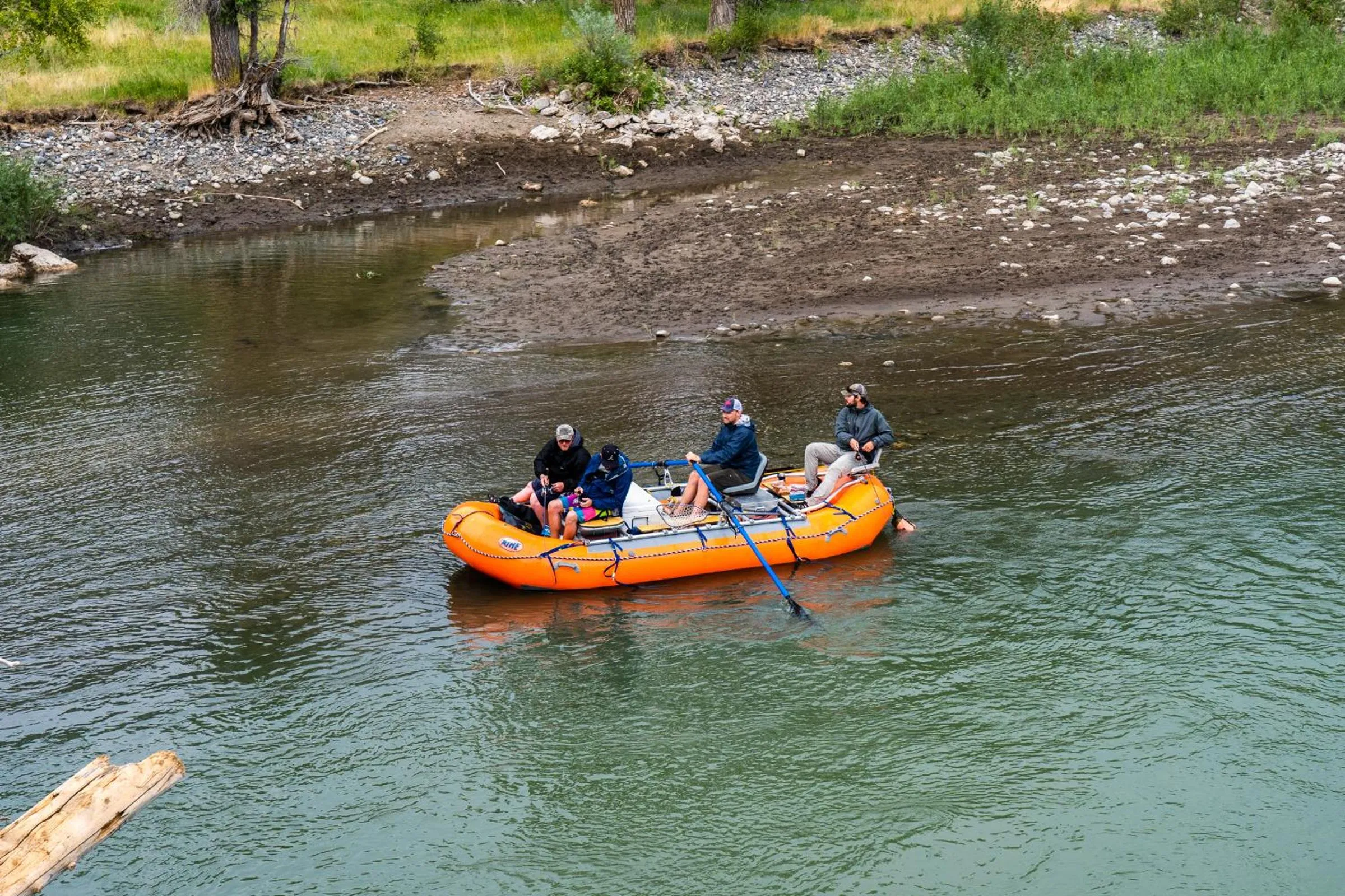 Day in Shepherd Family Retreats- Fox