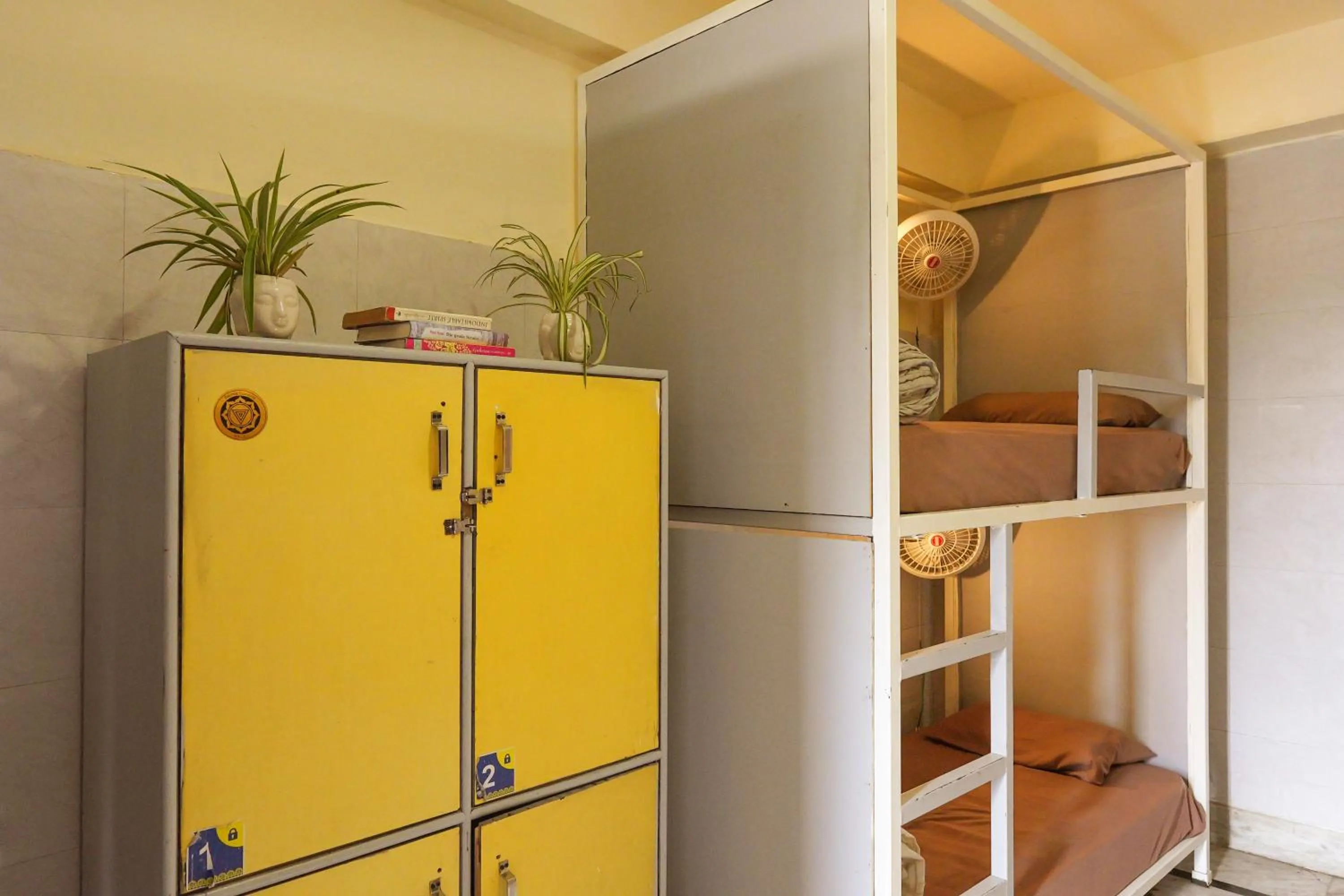 bunk bed in Shalom Backpackers Rishikesh