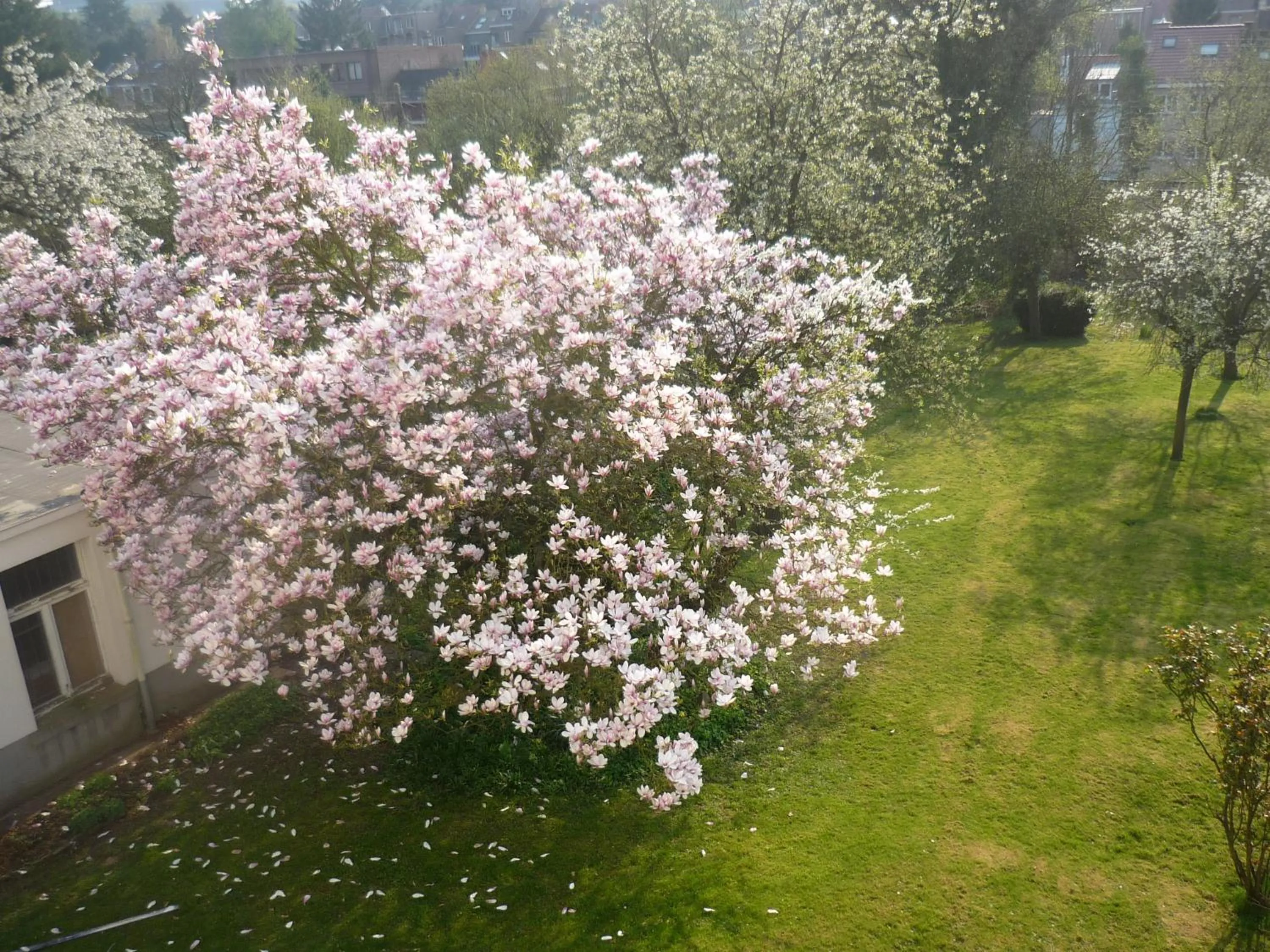 Garden view in B&B Le Verger