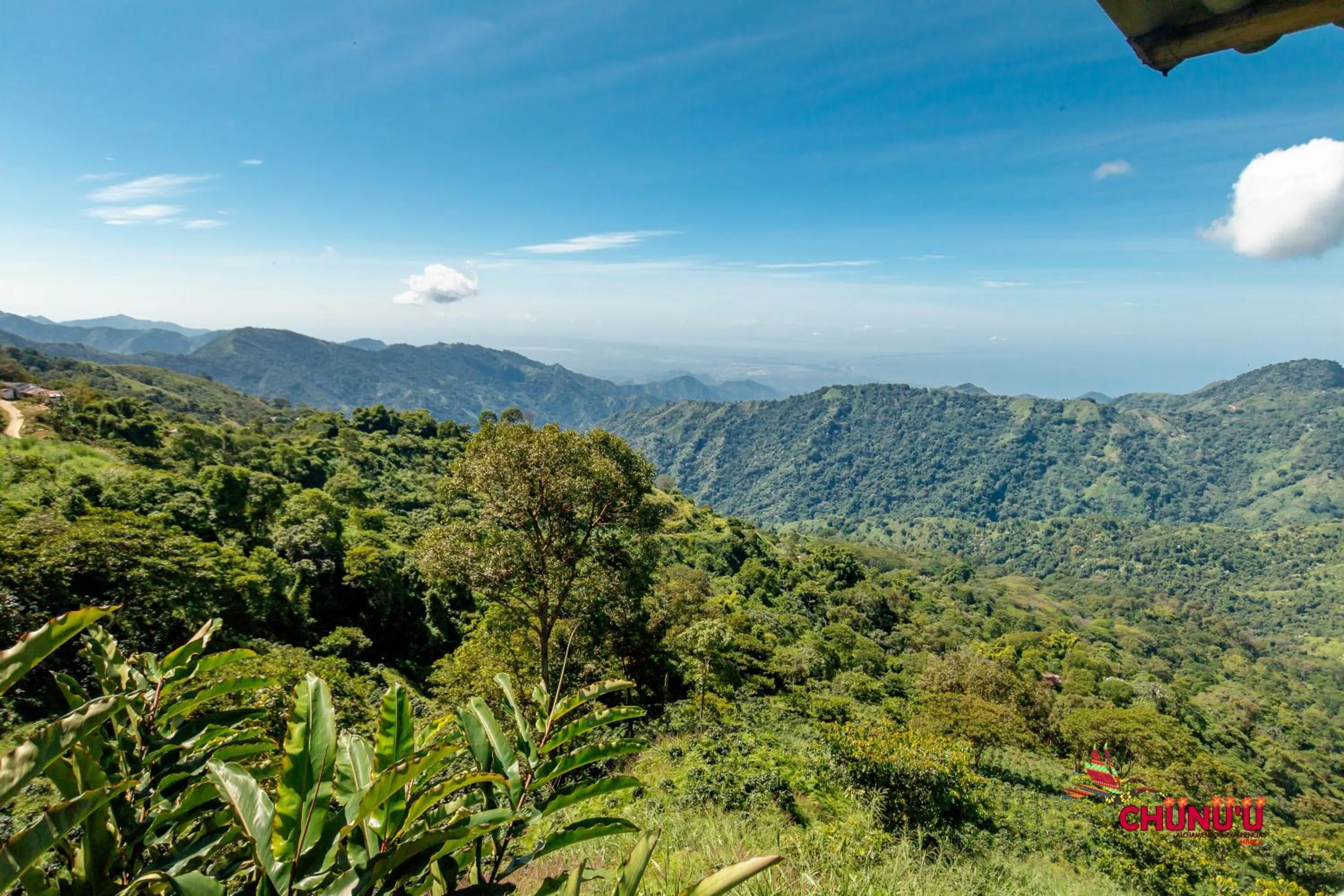 Natural landscape in MINCA Chunuu - glamping - coworking MINCA
