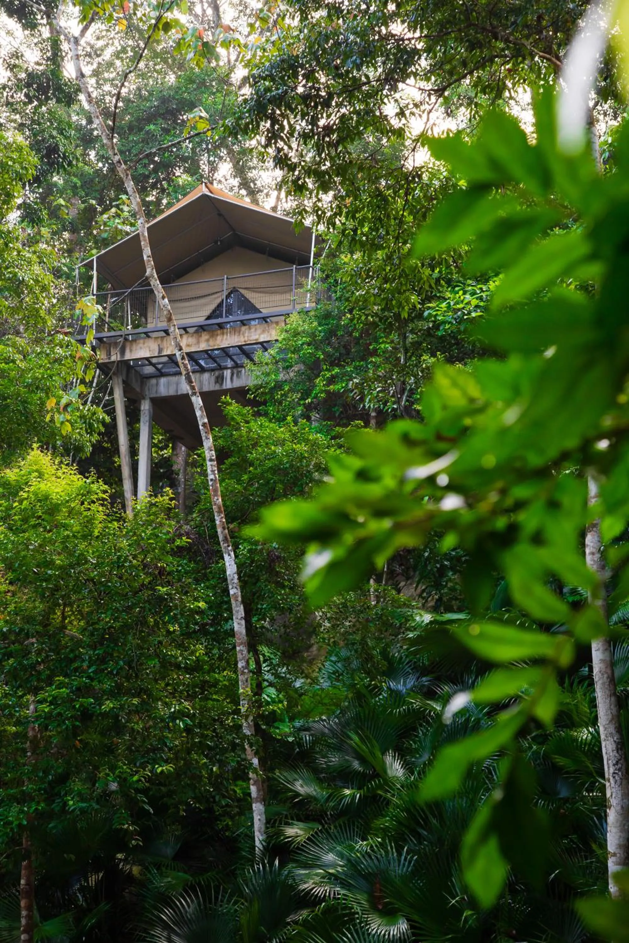 Garden in Boulder Valley