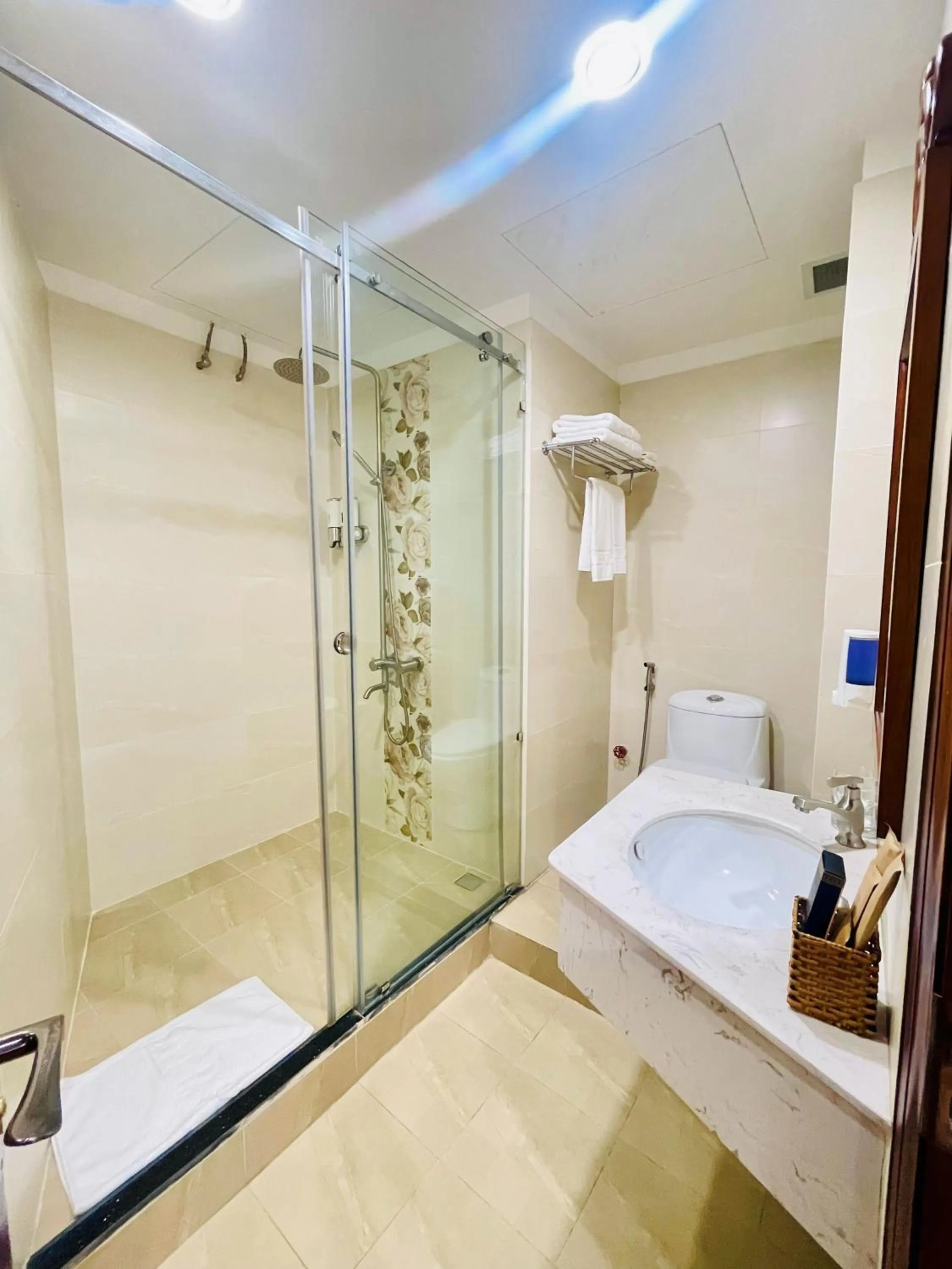 Shower in Air Star Hotel