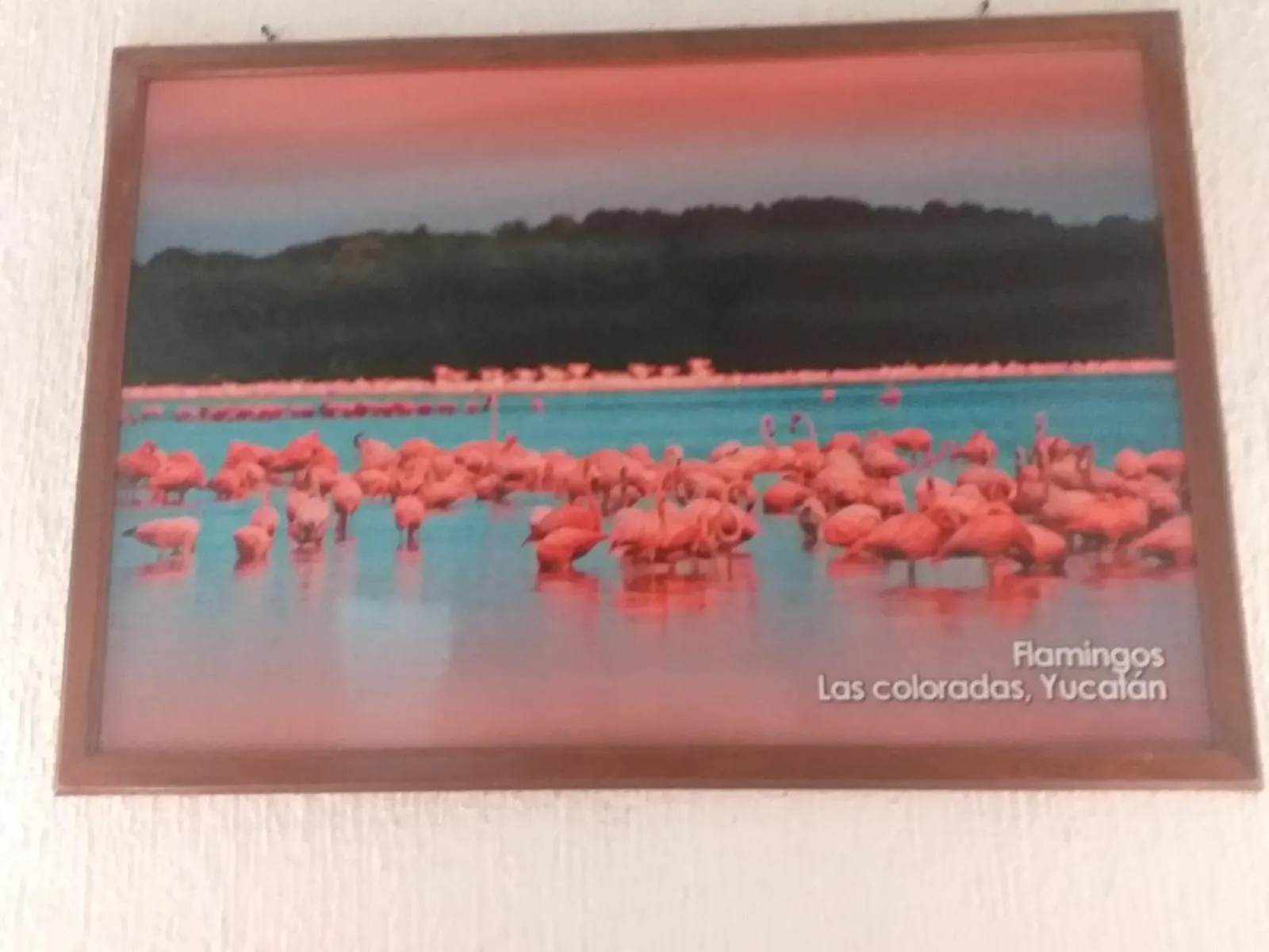 Casa Palagui Colonial