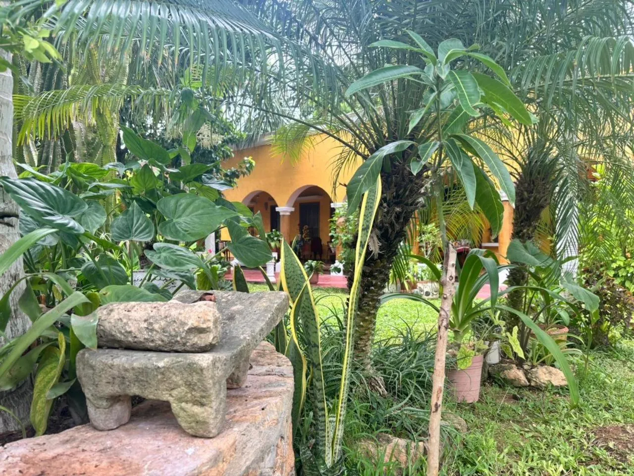 Casa Palagui Colonial