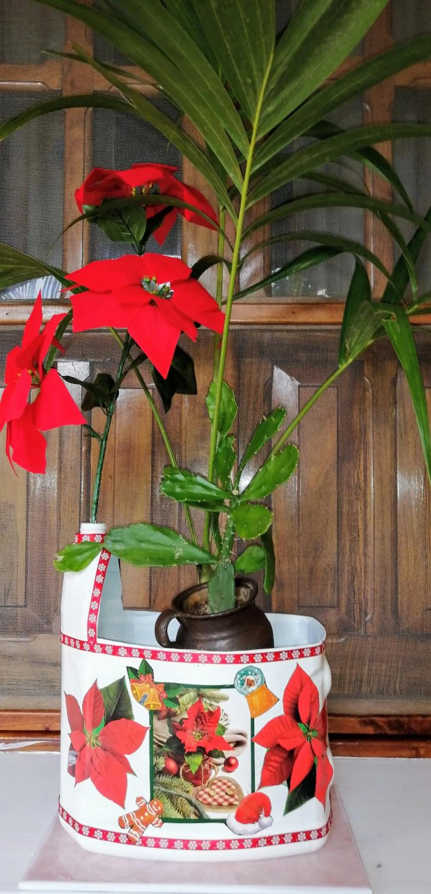 Casa Palagui Colonial