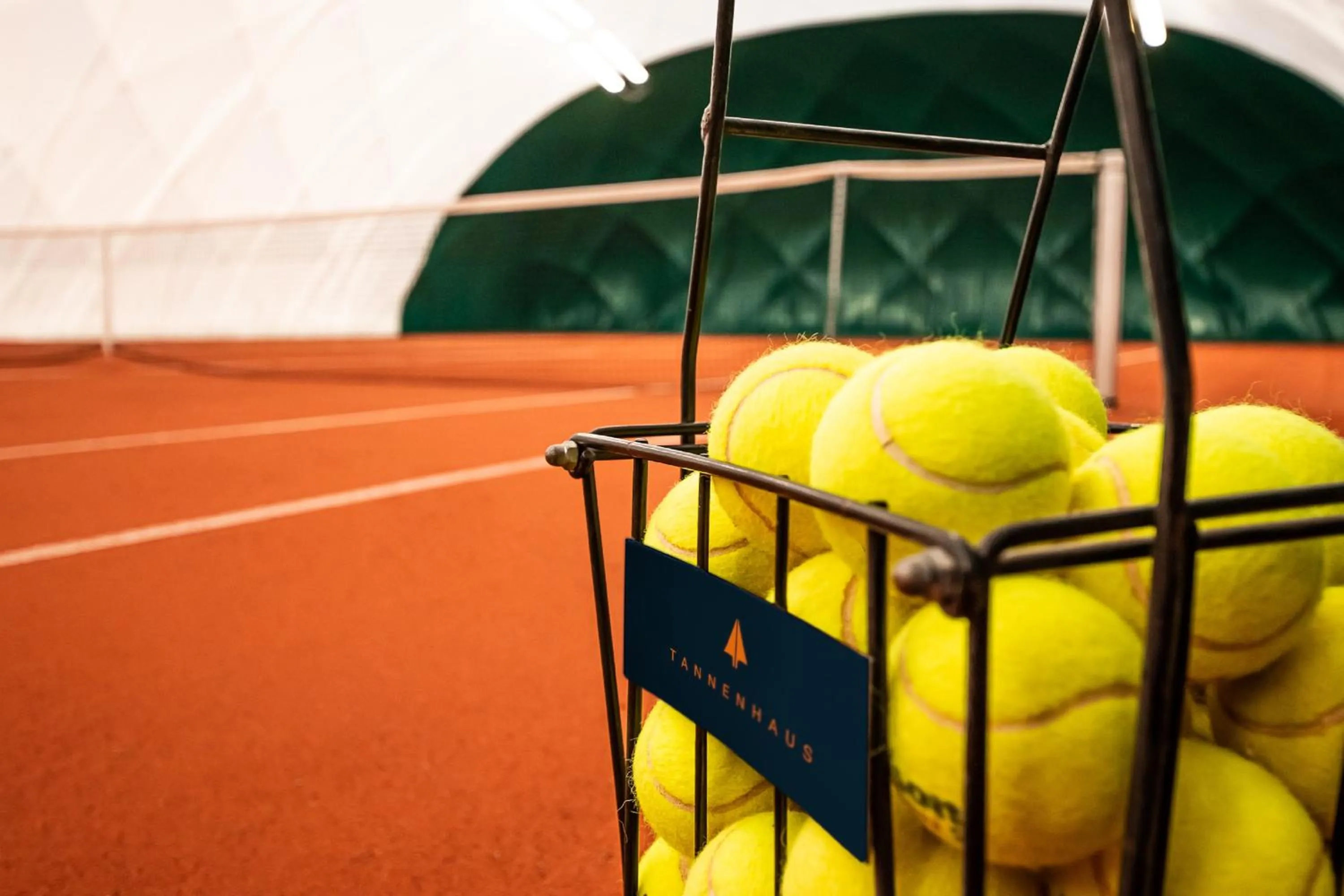 Tennis court in Hotel Tannenhaus
