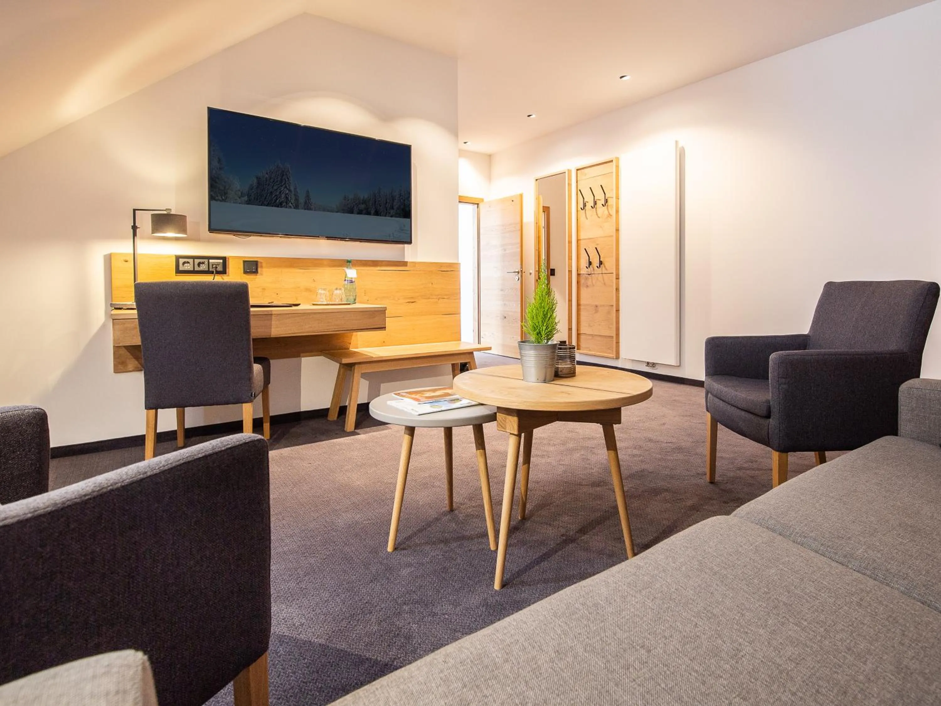 TV and multimedia in Hotel Tannenhaus