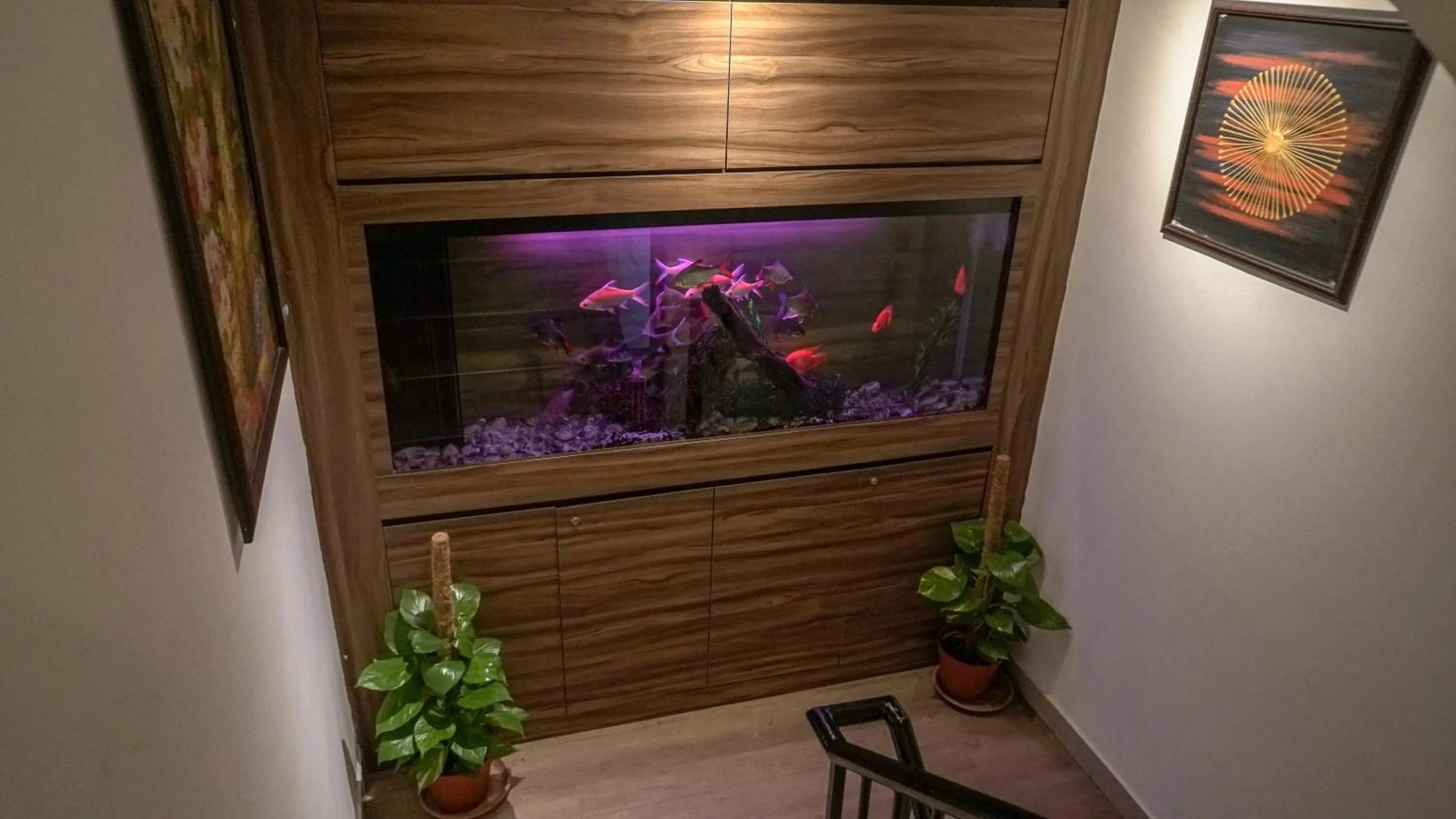 Communal lounge/ TV room in Highlanders Hotel