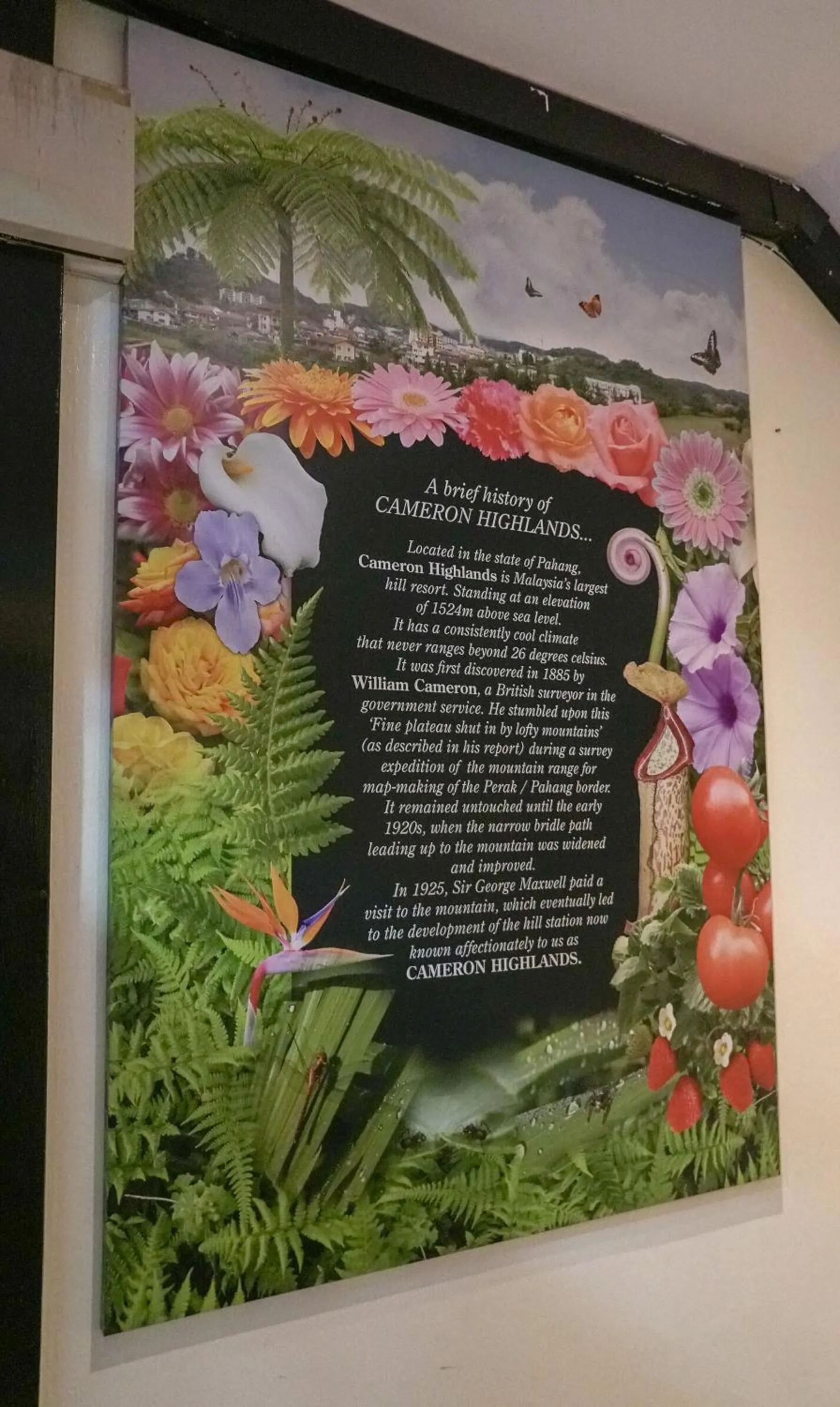 Logo/Certificate/Sign in Highlanders Hotel