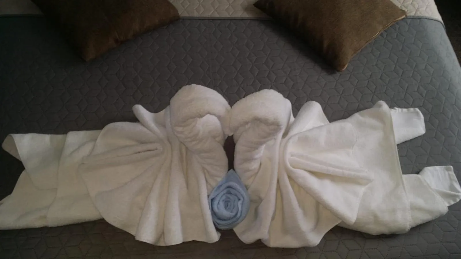 towels in Vila William’s