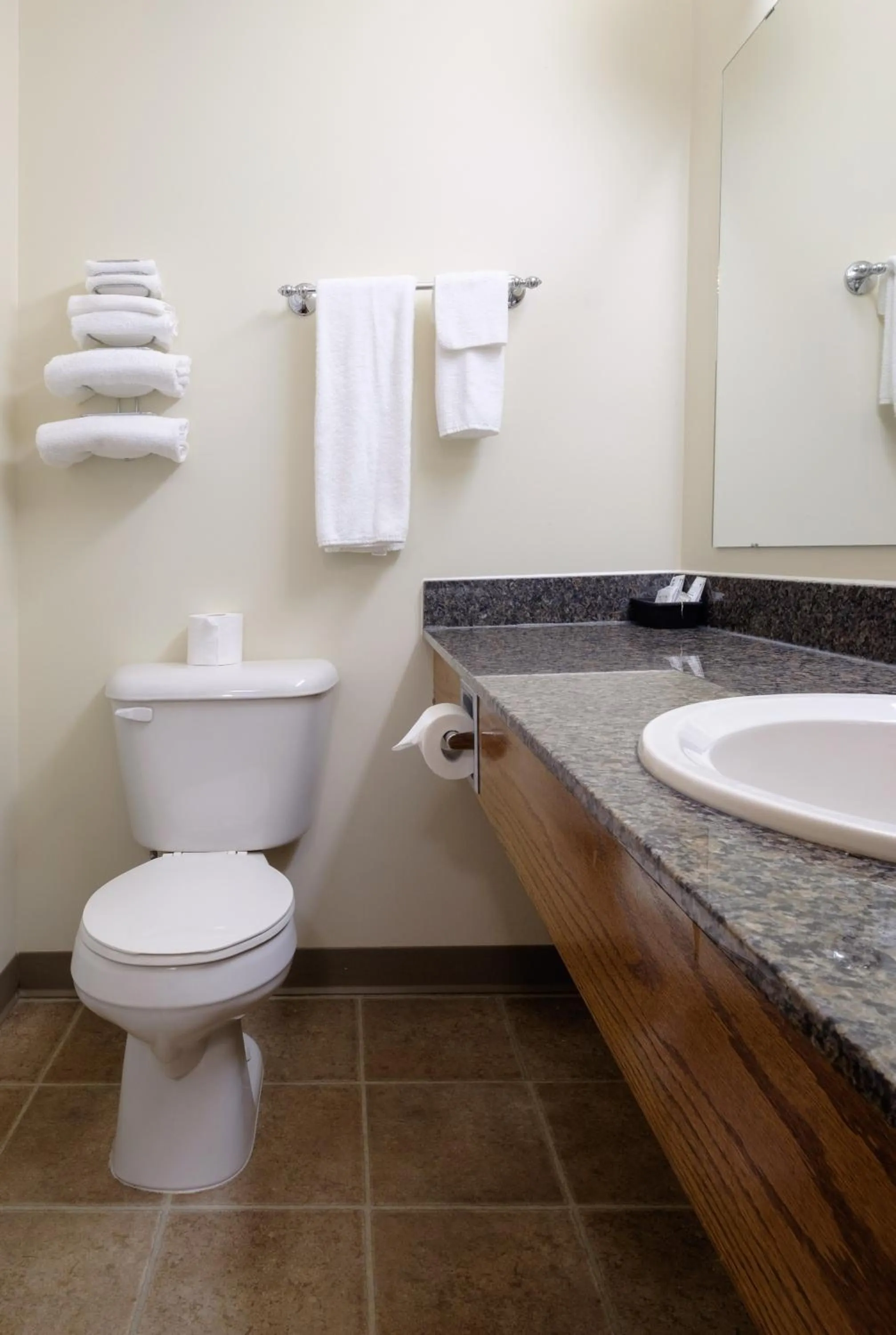 Shower in Perfect Inns & Suites