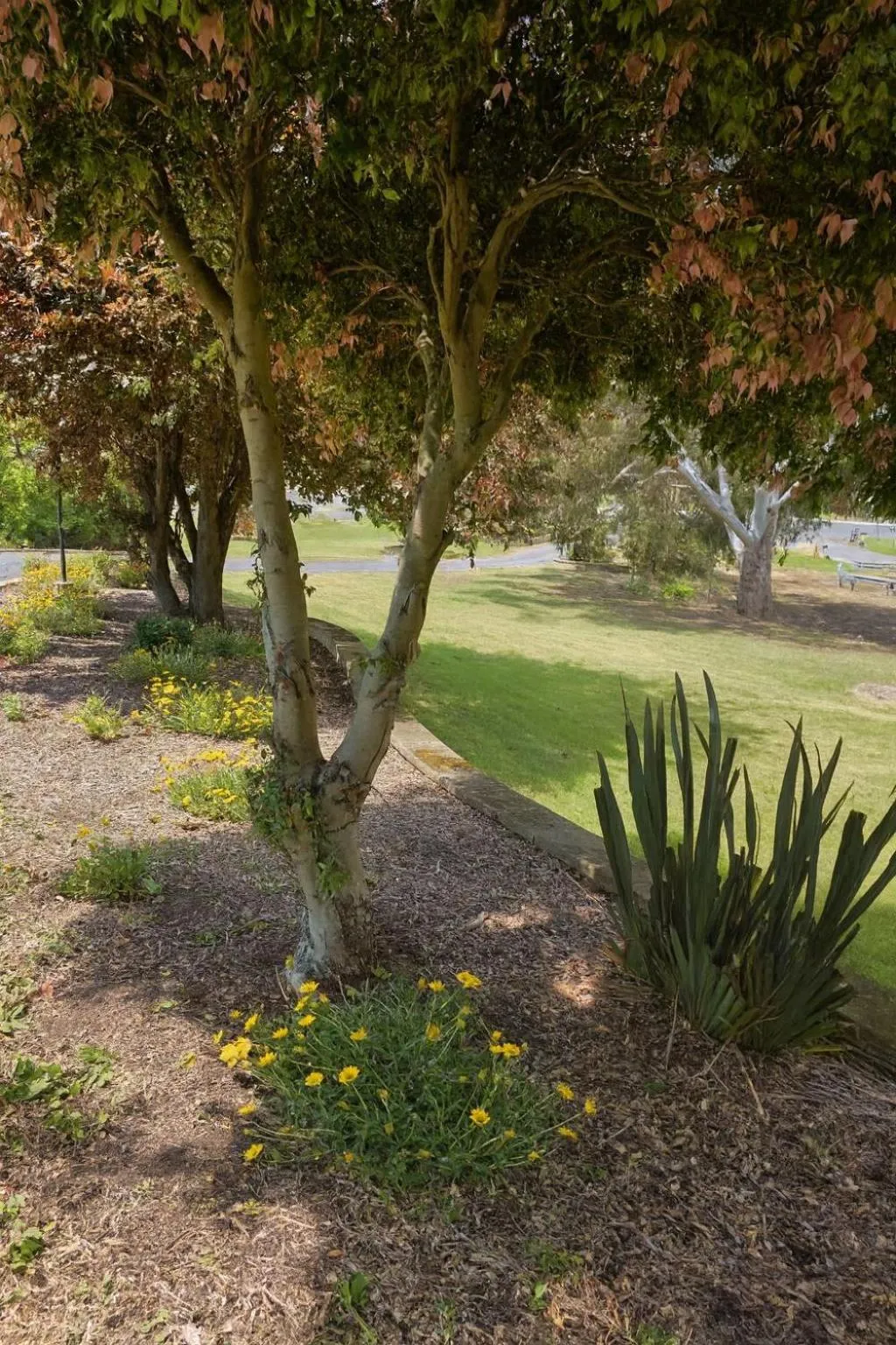 Natural landscape in Motel Traralgon