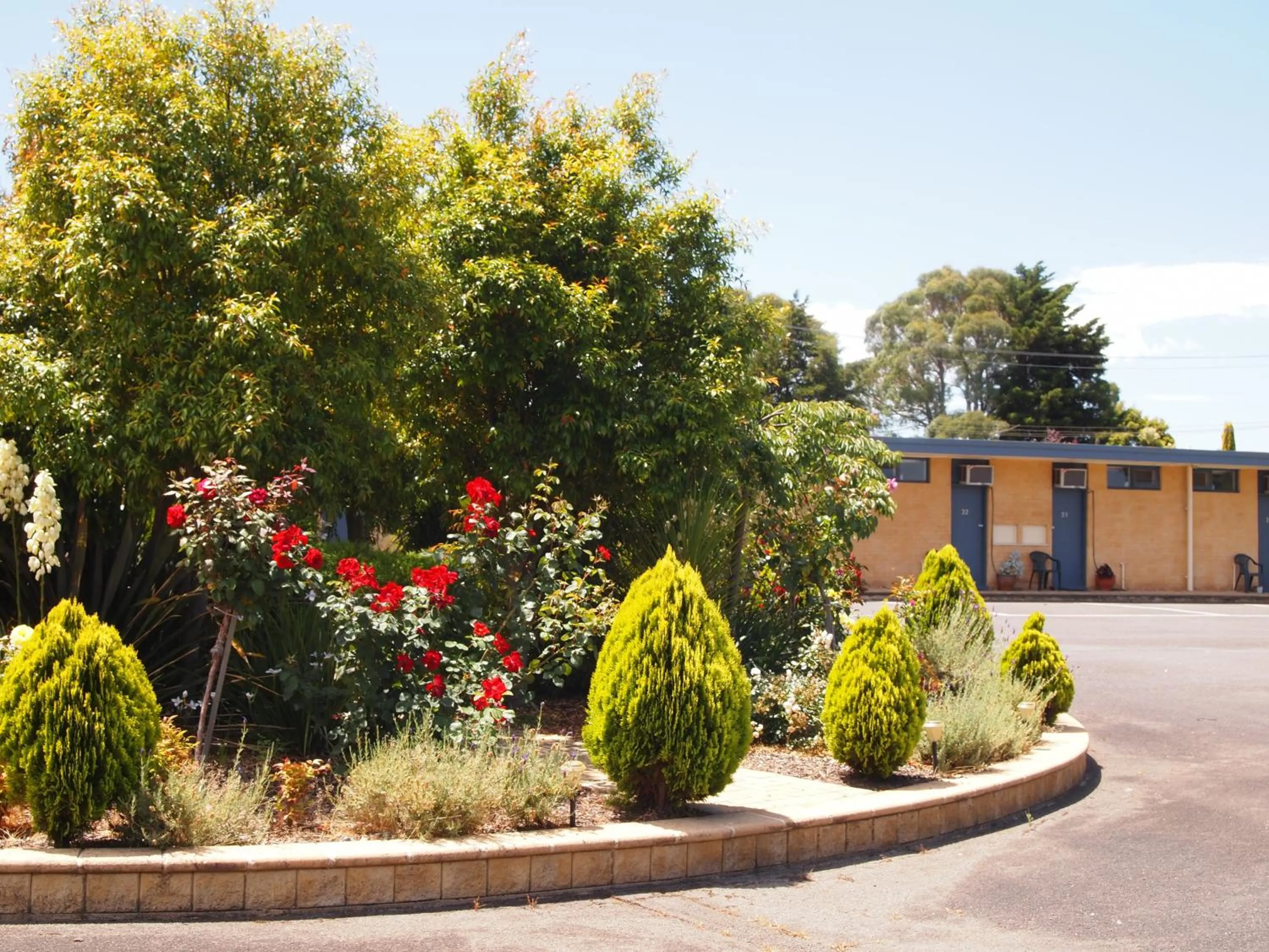 Garden in Motel Traralgon
