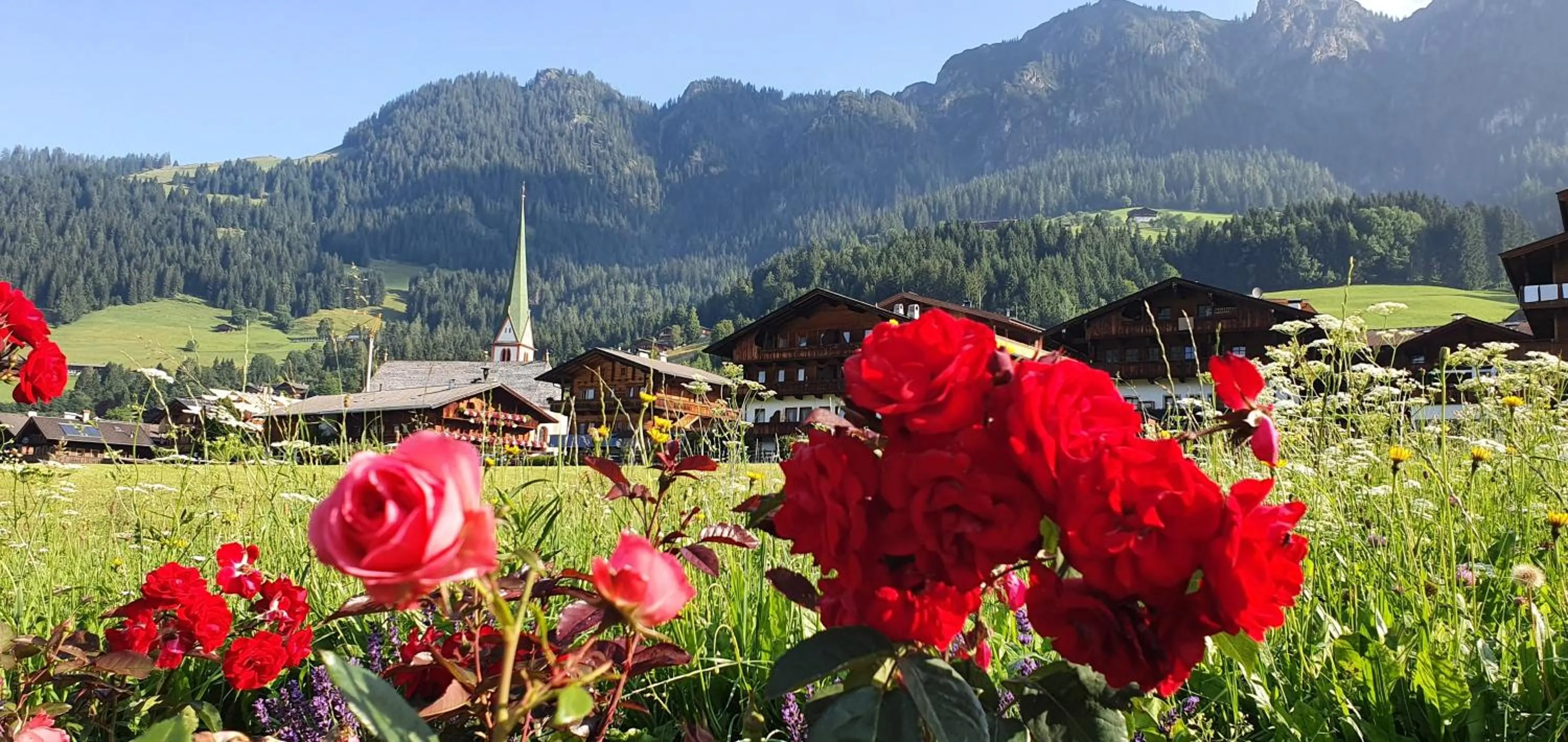 Garden in Alpbacherhof Mountain & Spa Resort
