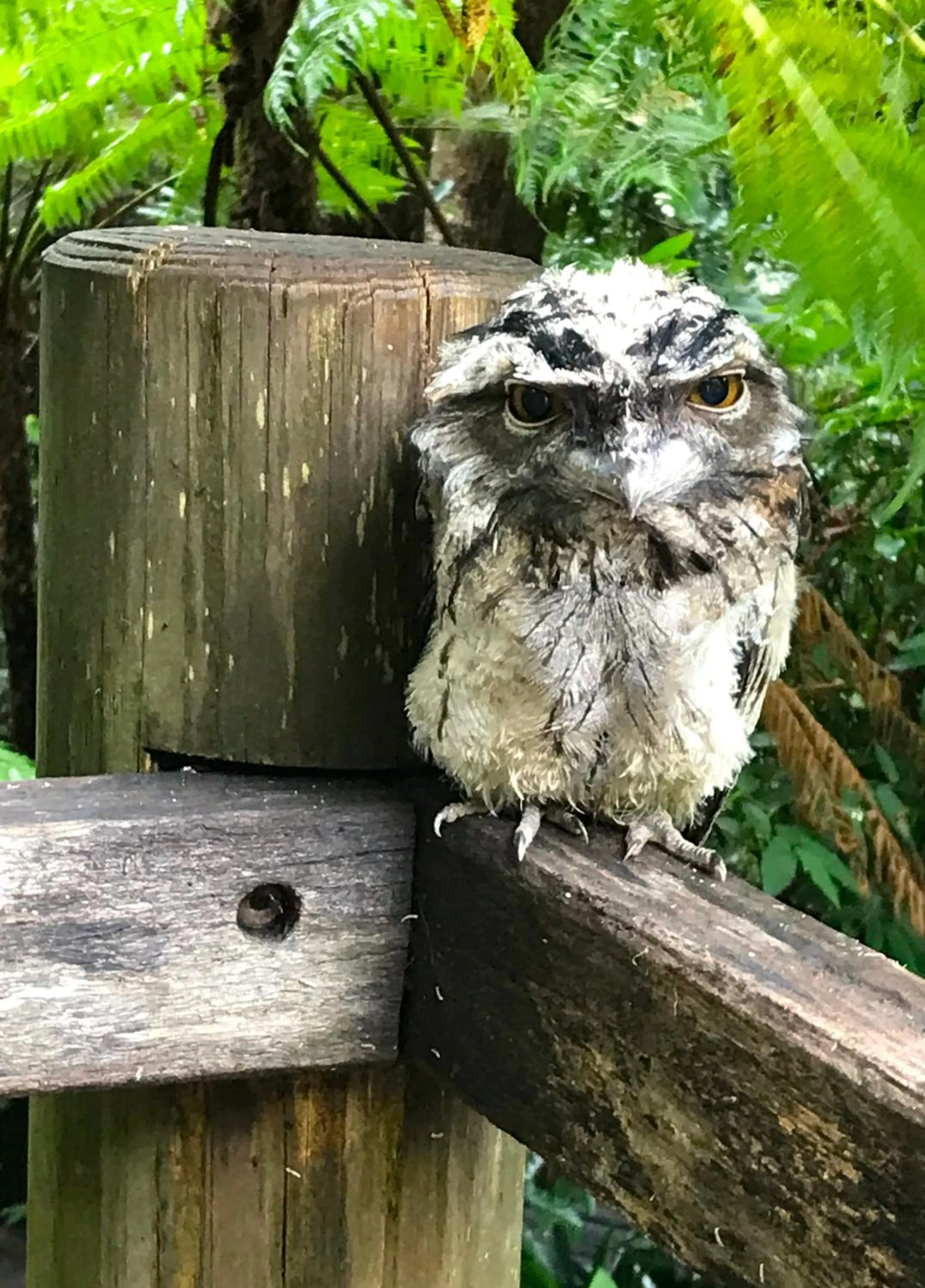 Facade/entrance in The Falls Montville