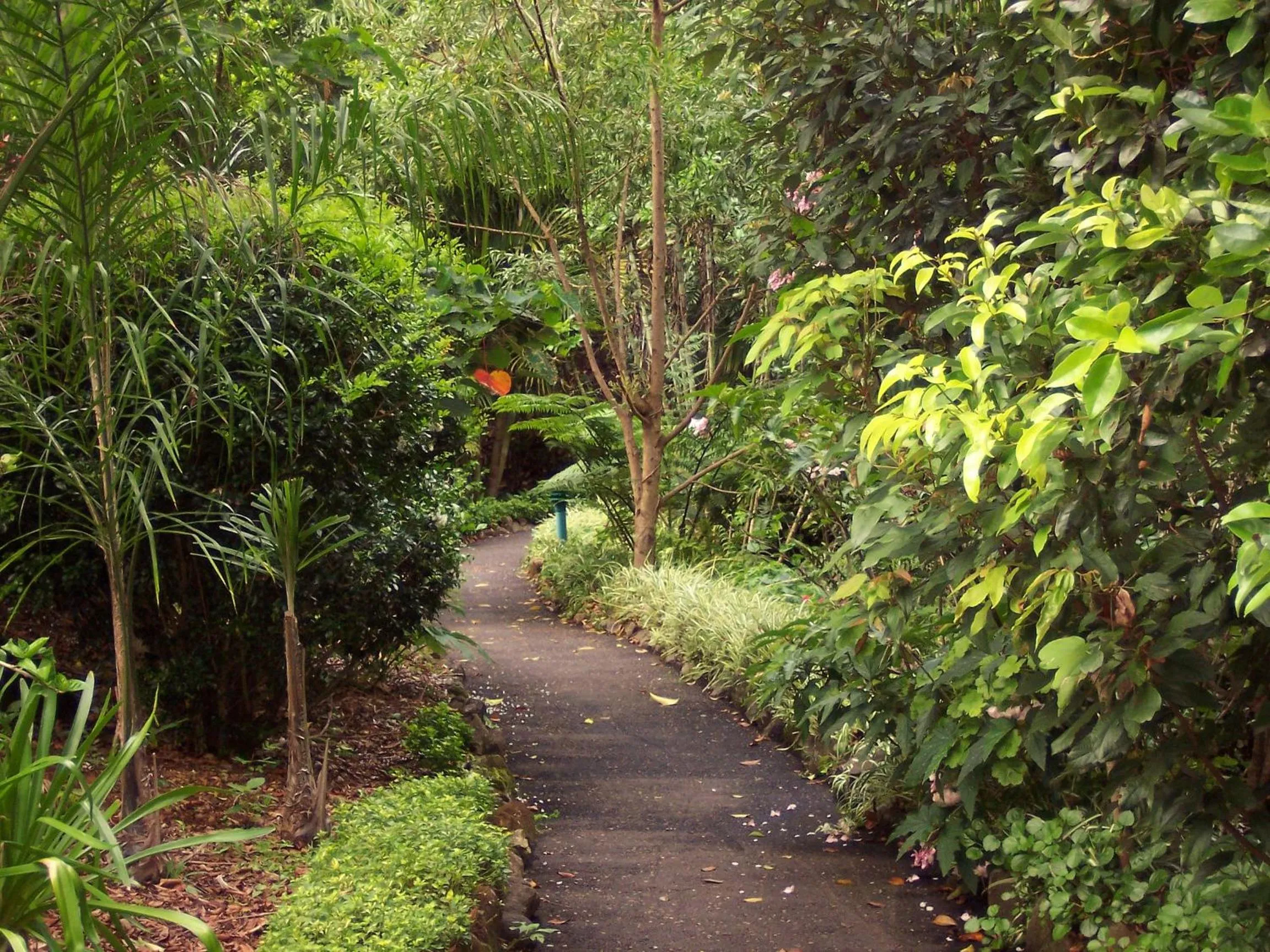 Garden in The Falls Montville