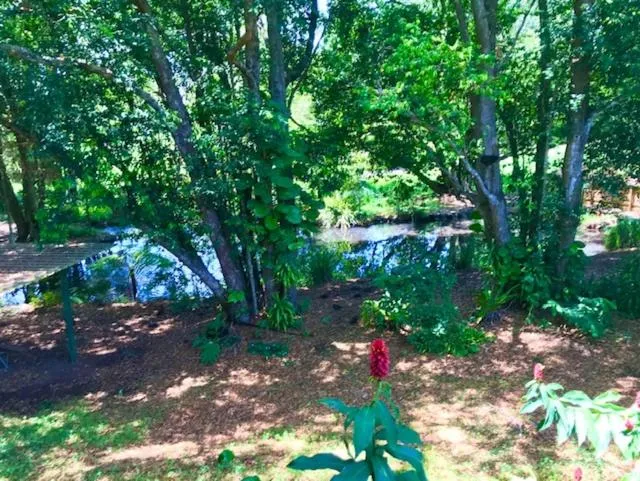 Lilyponds Holiday Park