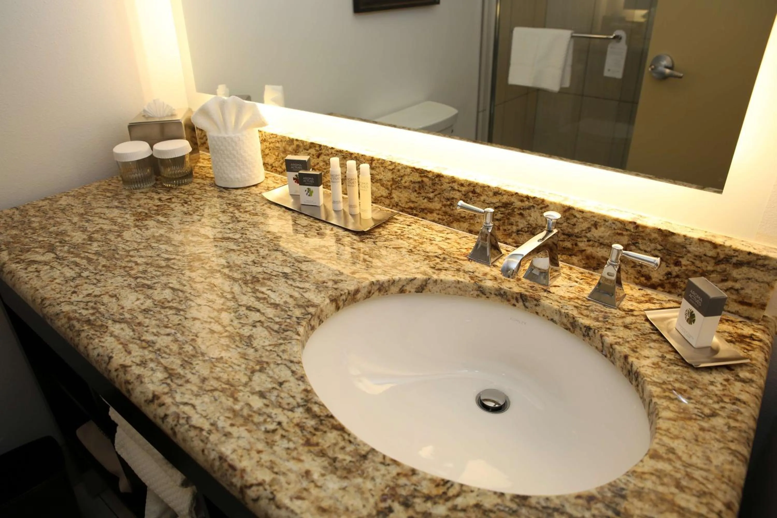 Bathroom in Doubletree by Hilton McAllen