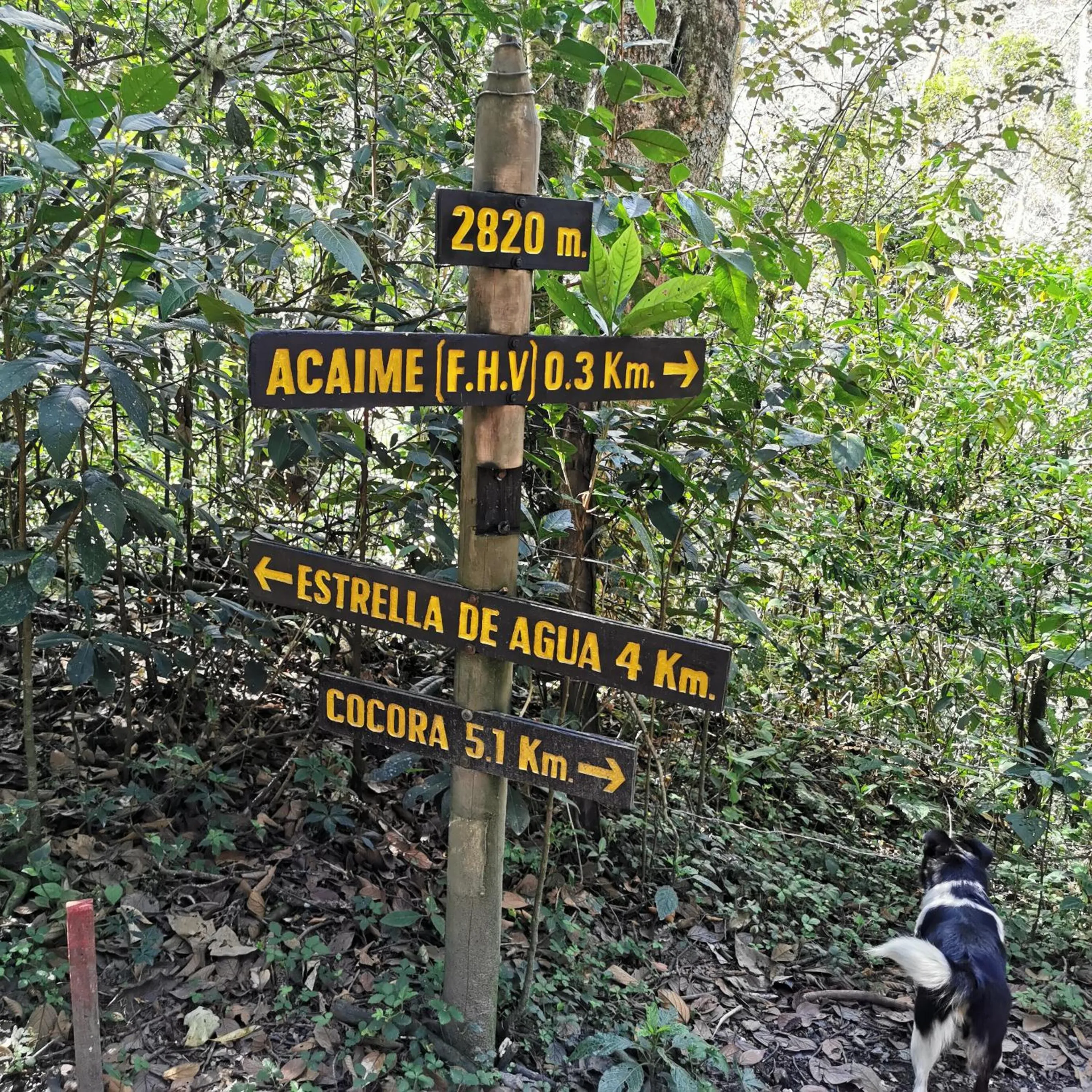 Natural landscape in Hotel La Caracola Salento