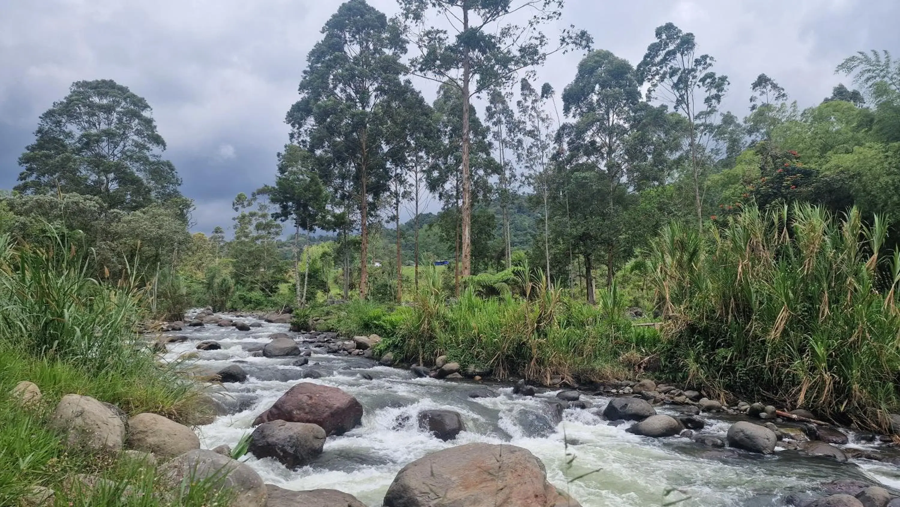 Deluxe Triple Room in Hotel La Caracola Salento Deluxe Triple Room in Hotel La Caracola Salento