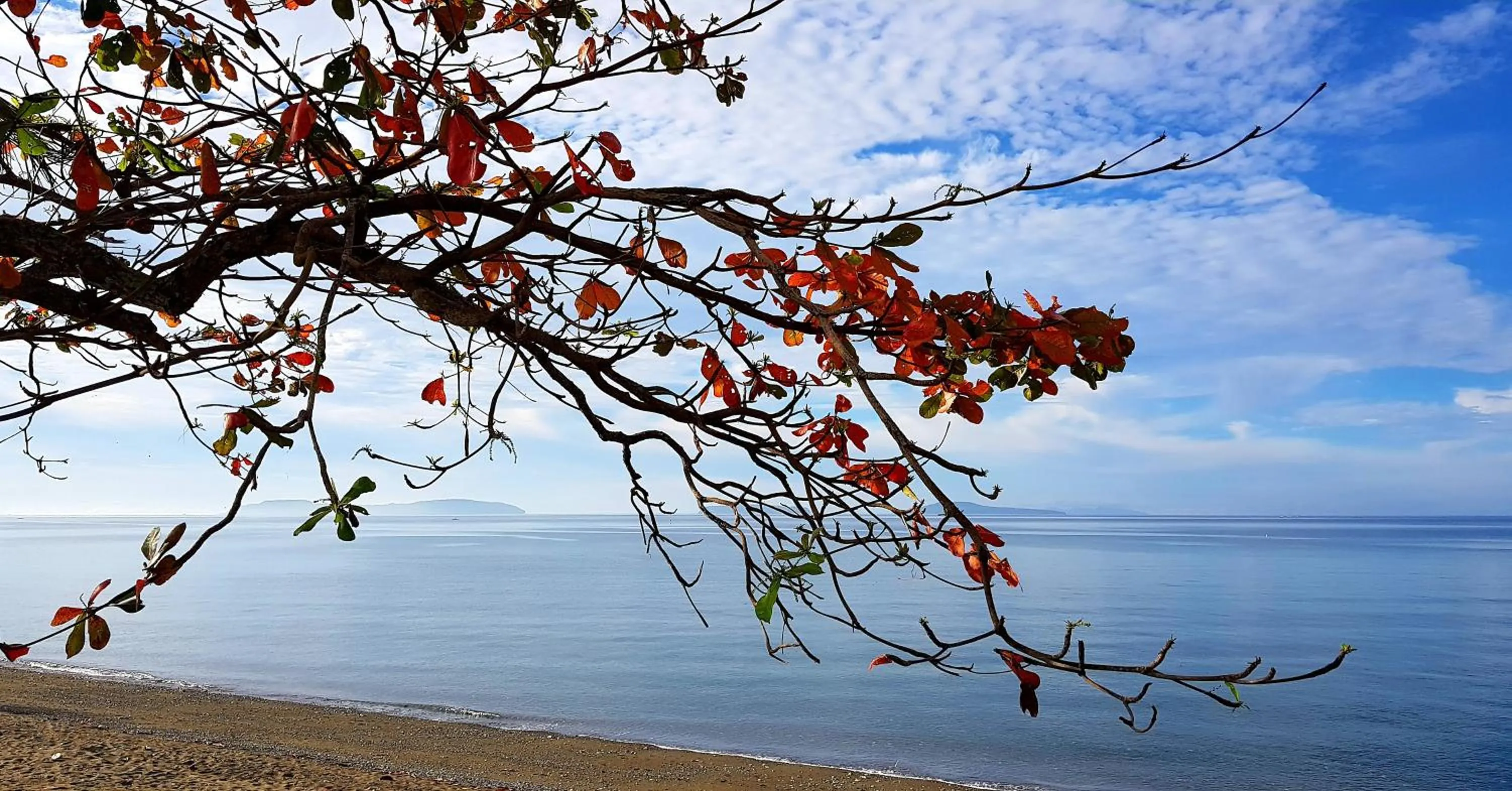 Natural landscape in Luxor Resort