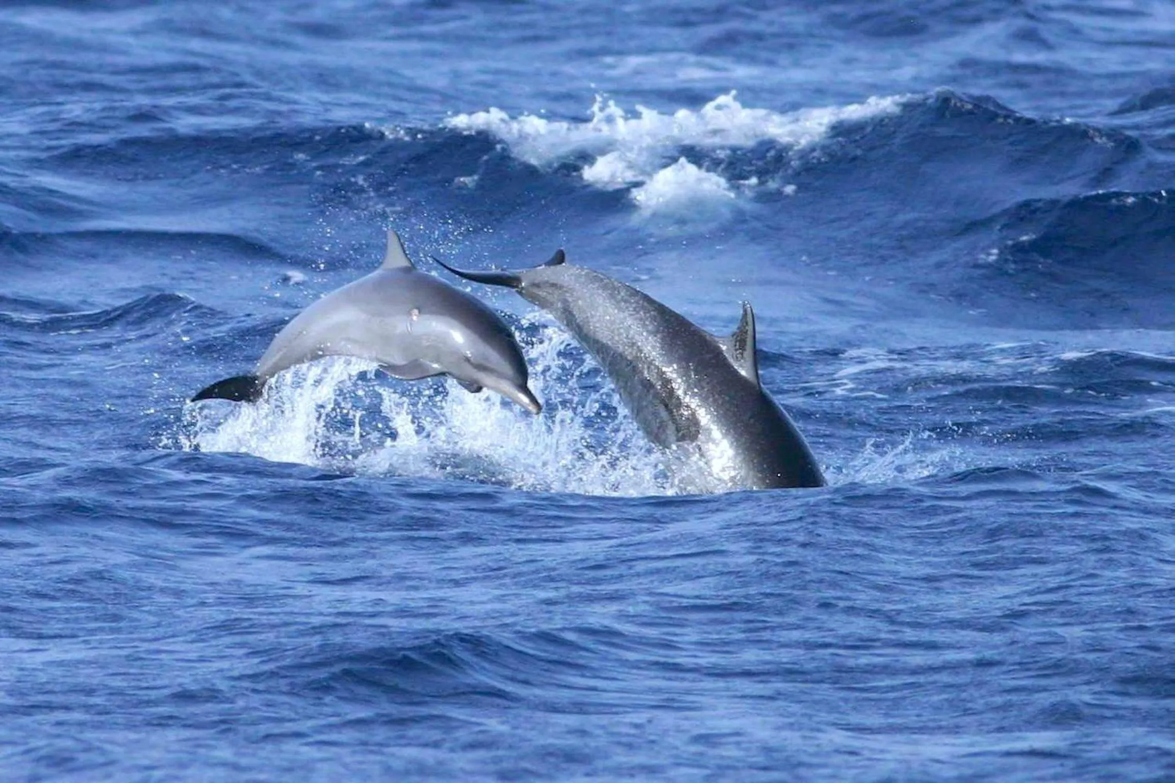 Area and facilities in Kaani Beach Hotel