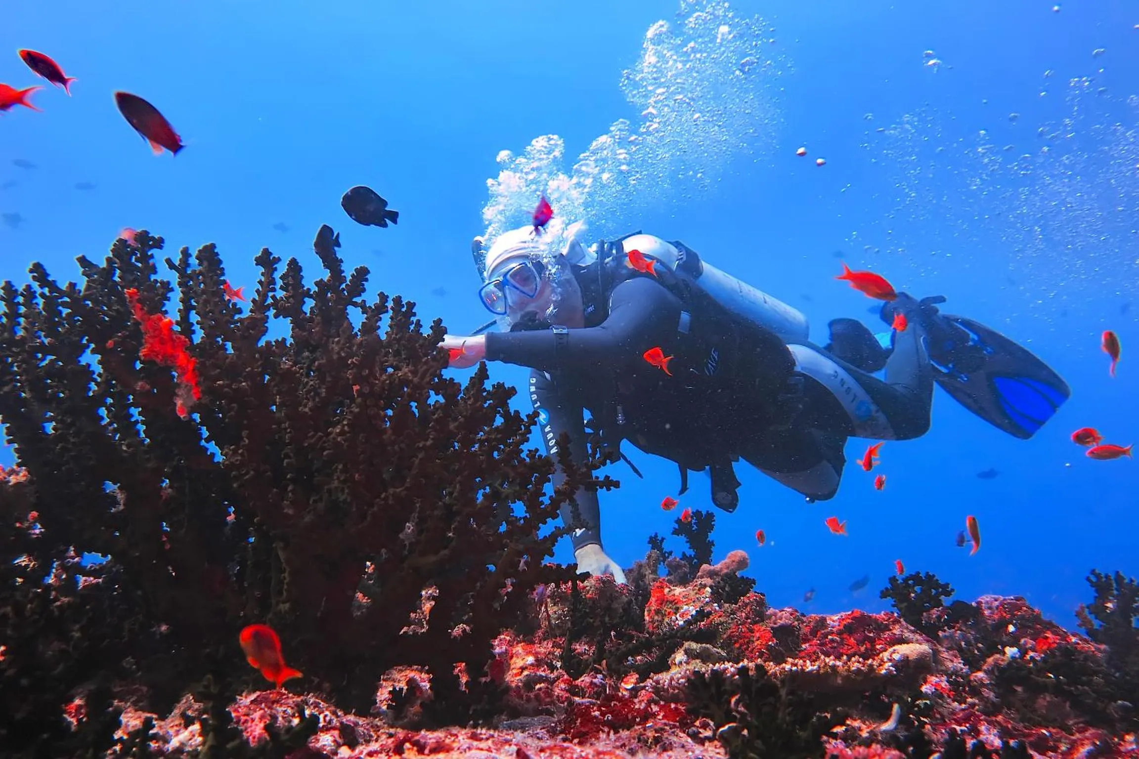 Natural landscape in Kaani Beach Hotel