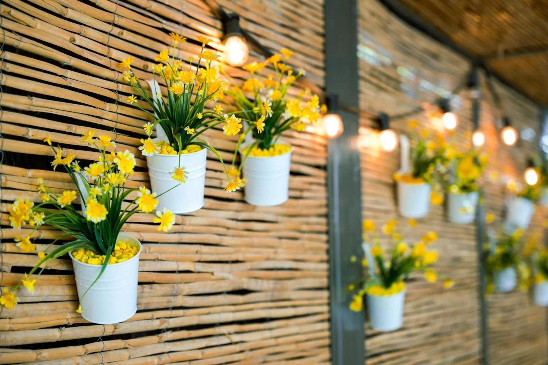 Off site in Olimar II