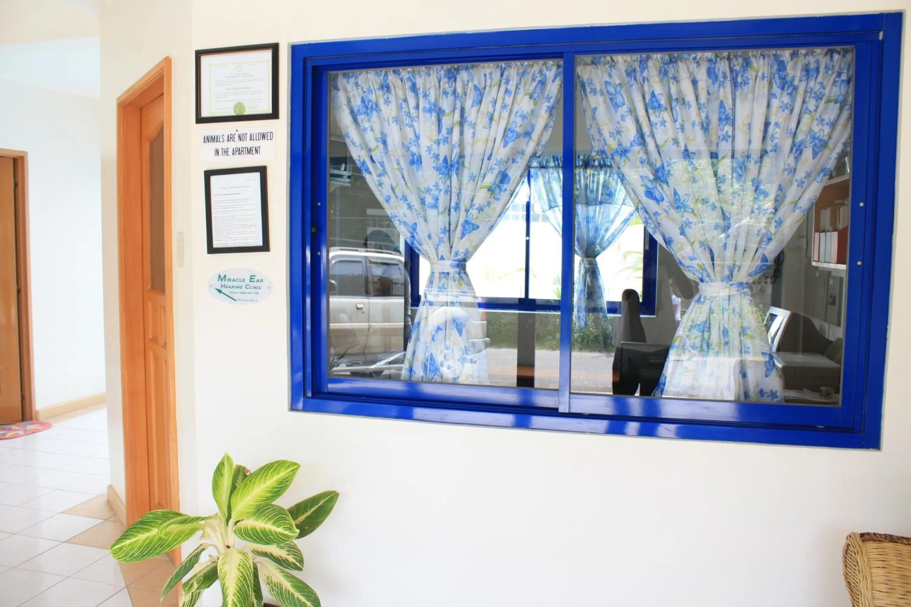 On site in Dumaguete Springs Apartment