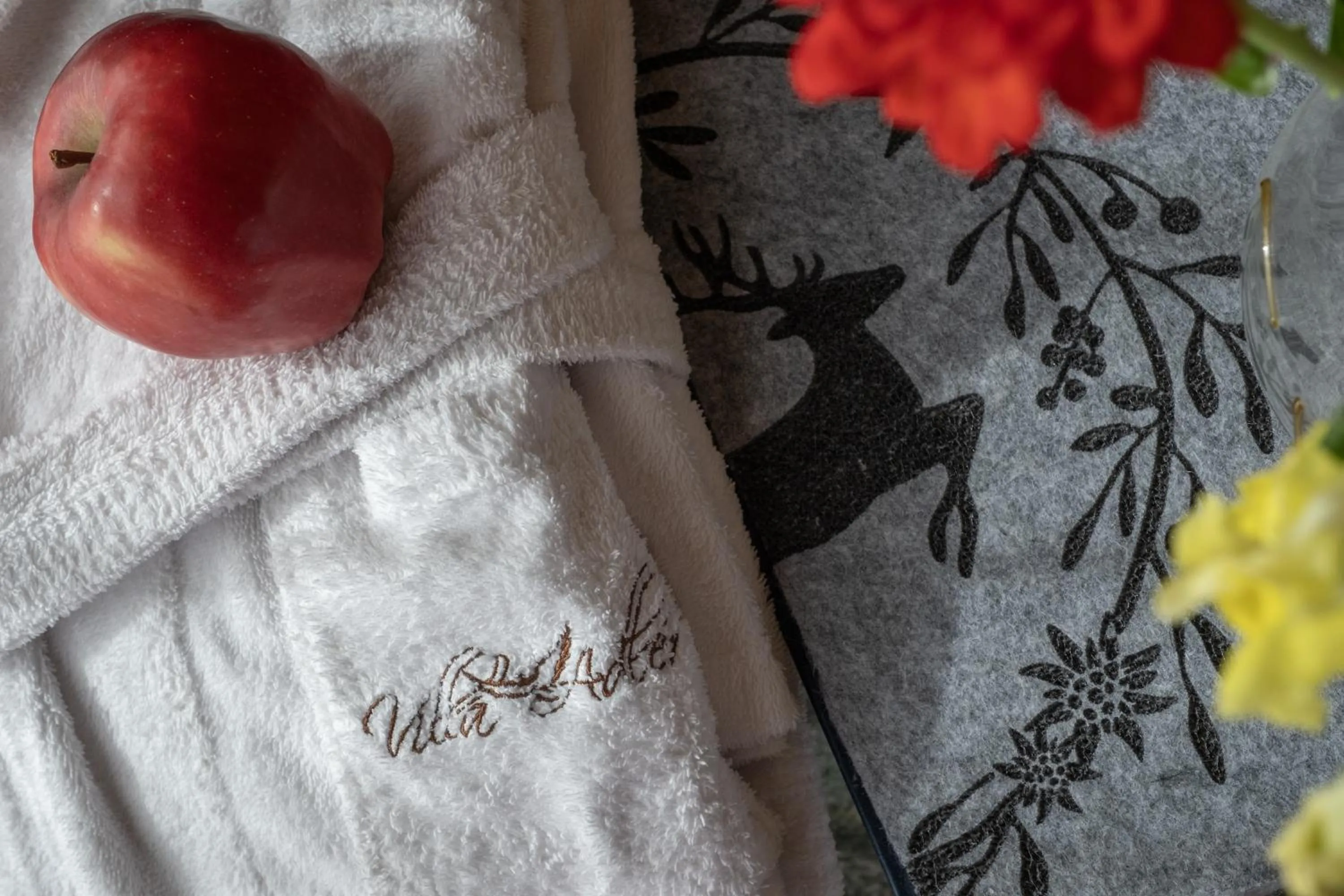 Decorative detail in Alpine Refuge Villa Adler