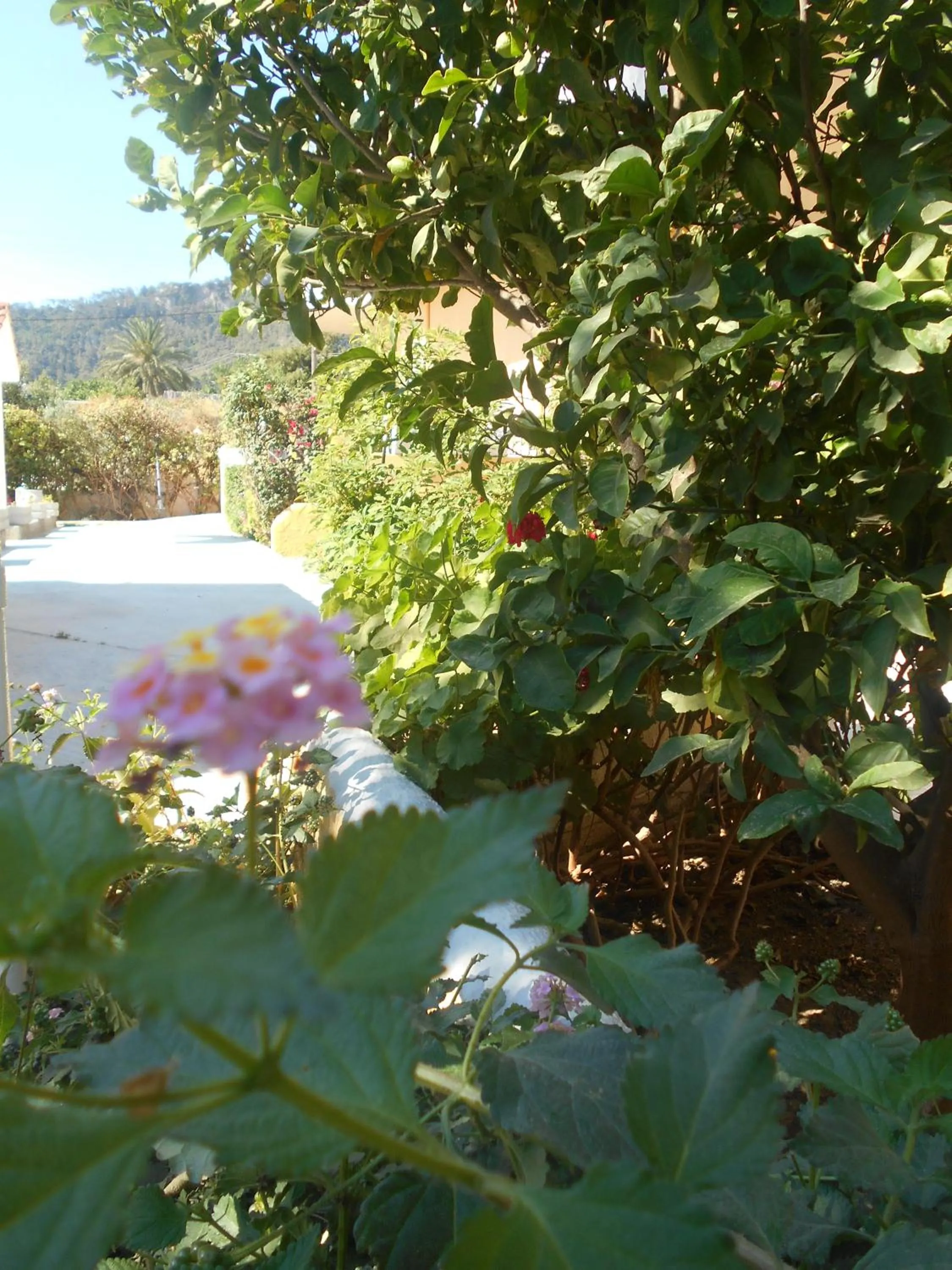 View (from property/room) in Villa Sofia