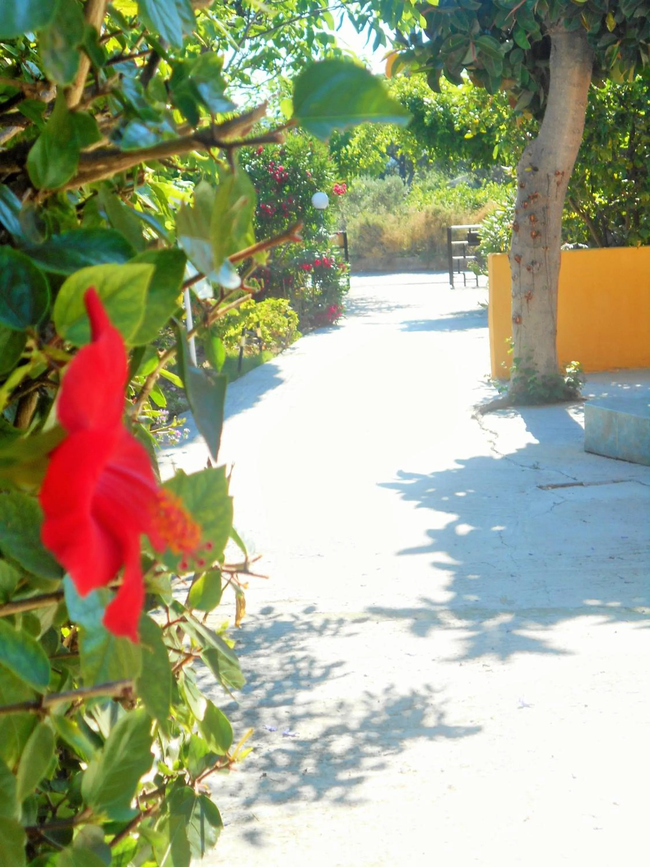 Inner courtyard view in Villa Sofia