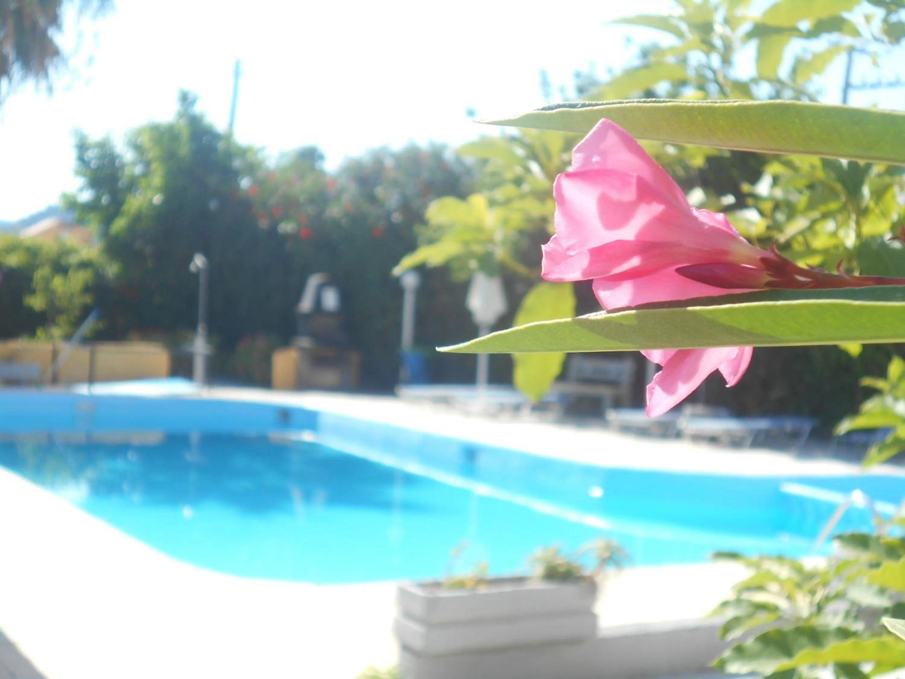 Pool view in Villa Sofia