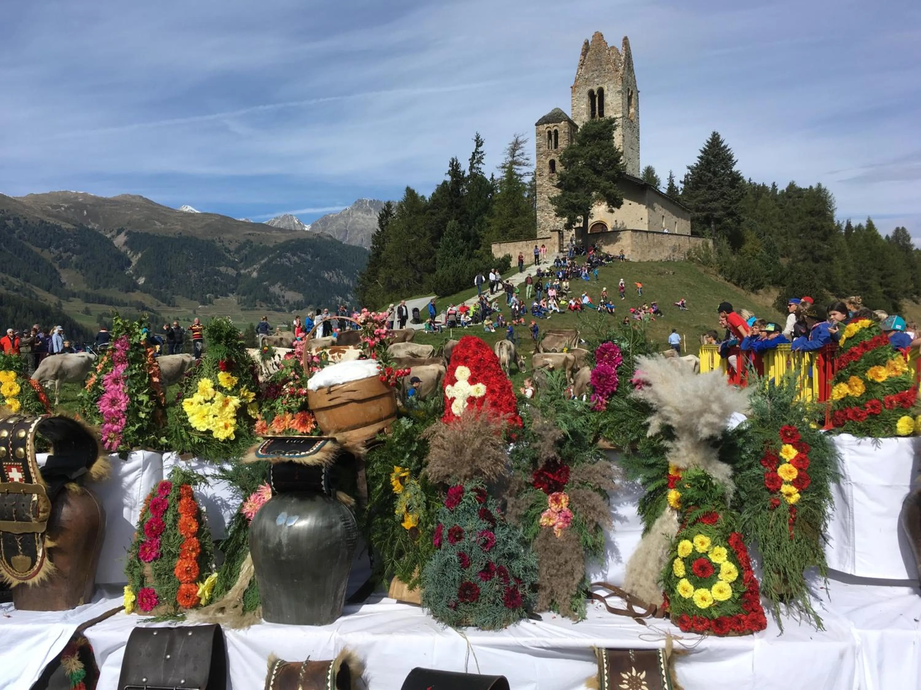 Natural landscape in Hotelino Petit Chalet