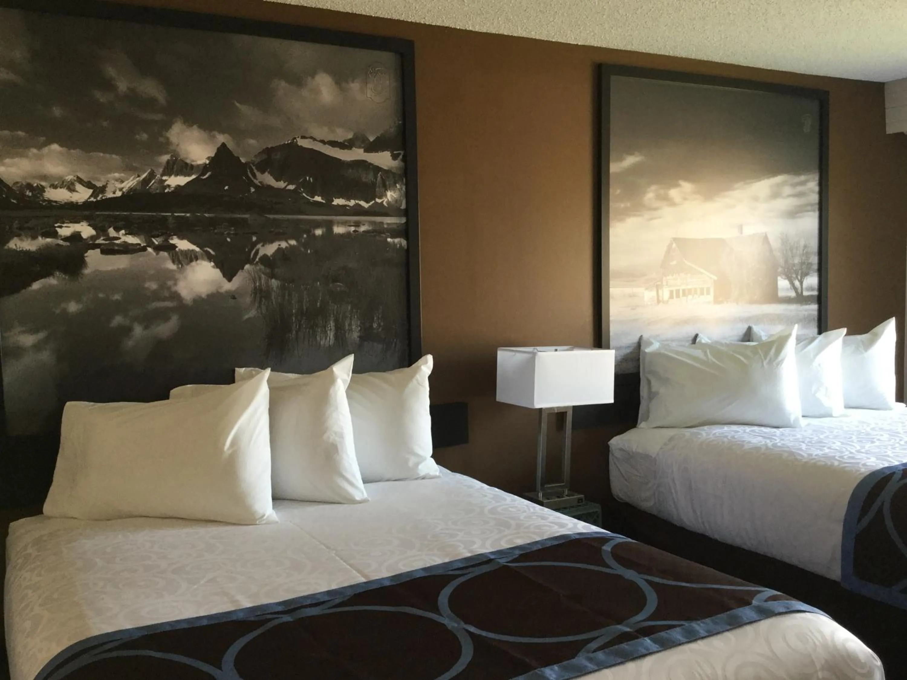 Bed in Super 8 by Wyndham Spruce Grove