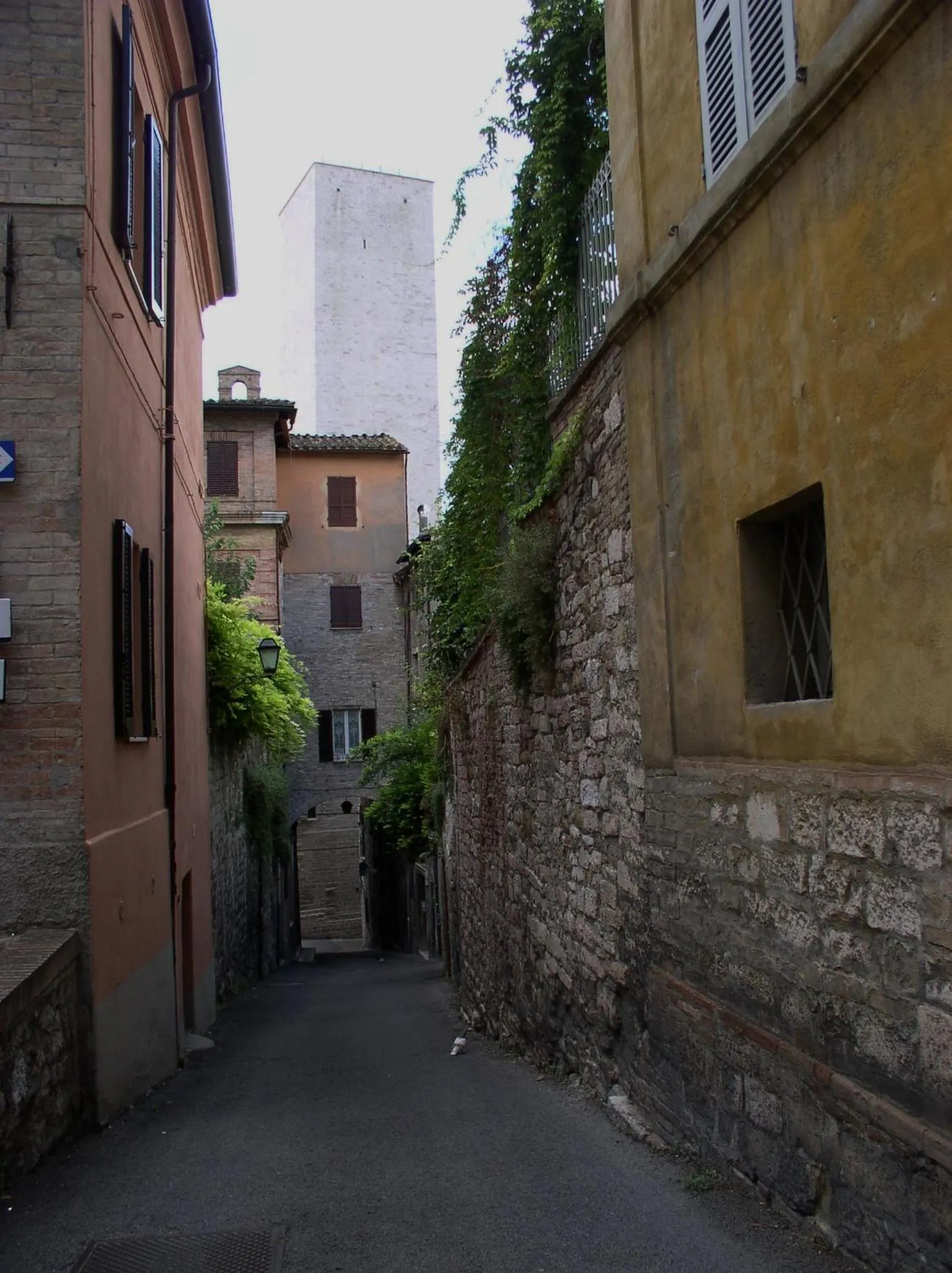 Other in Primavera Mini Hotel