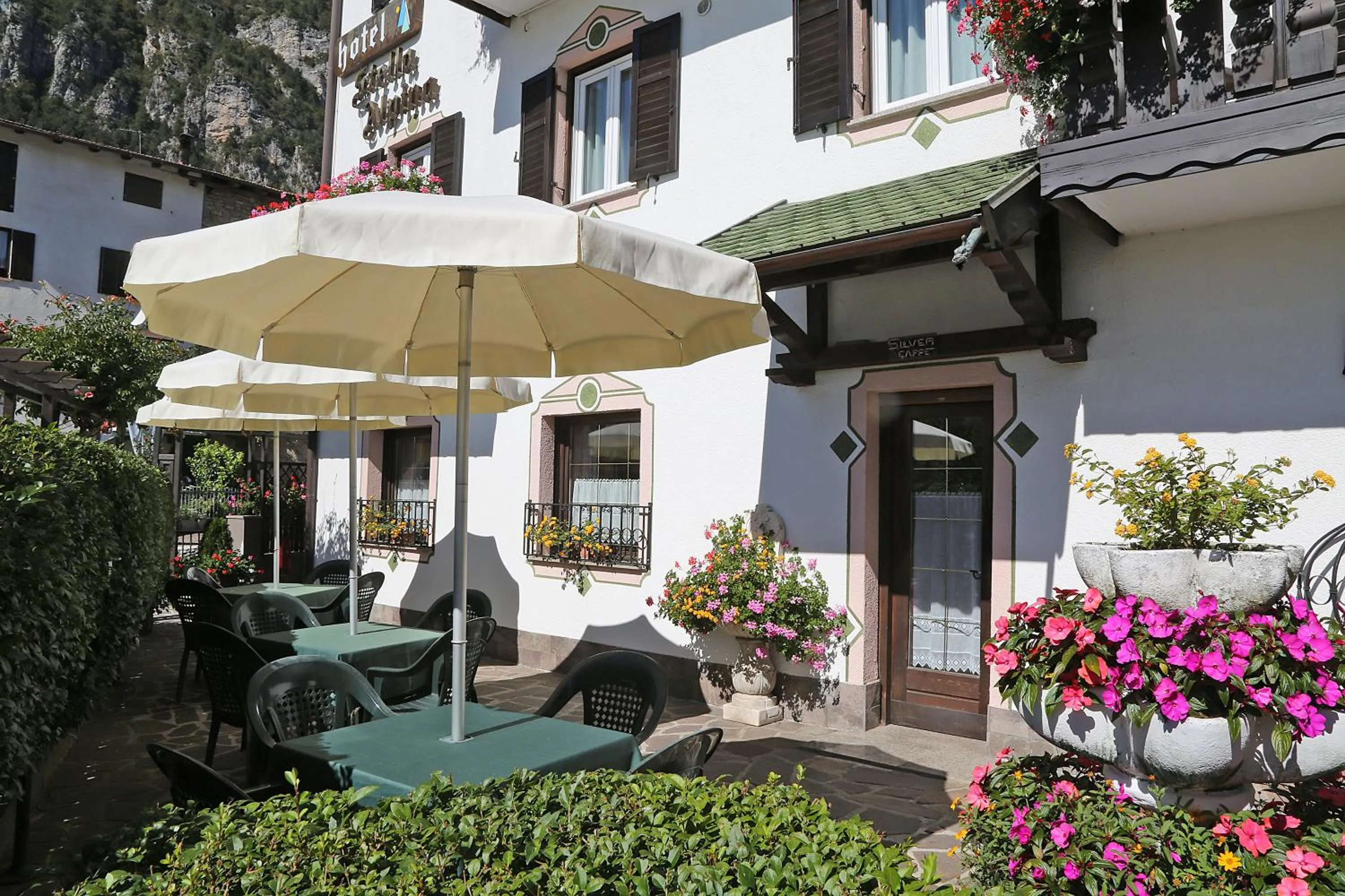 Garden in Hotel Stella Alpina