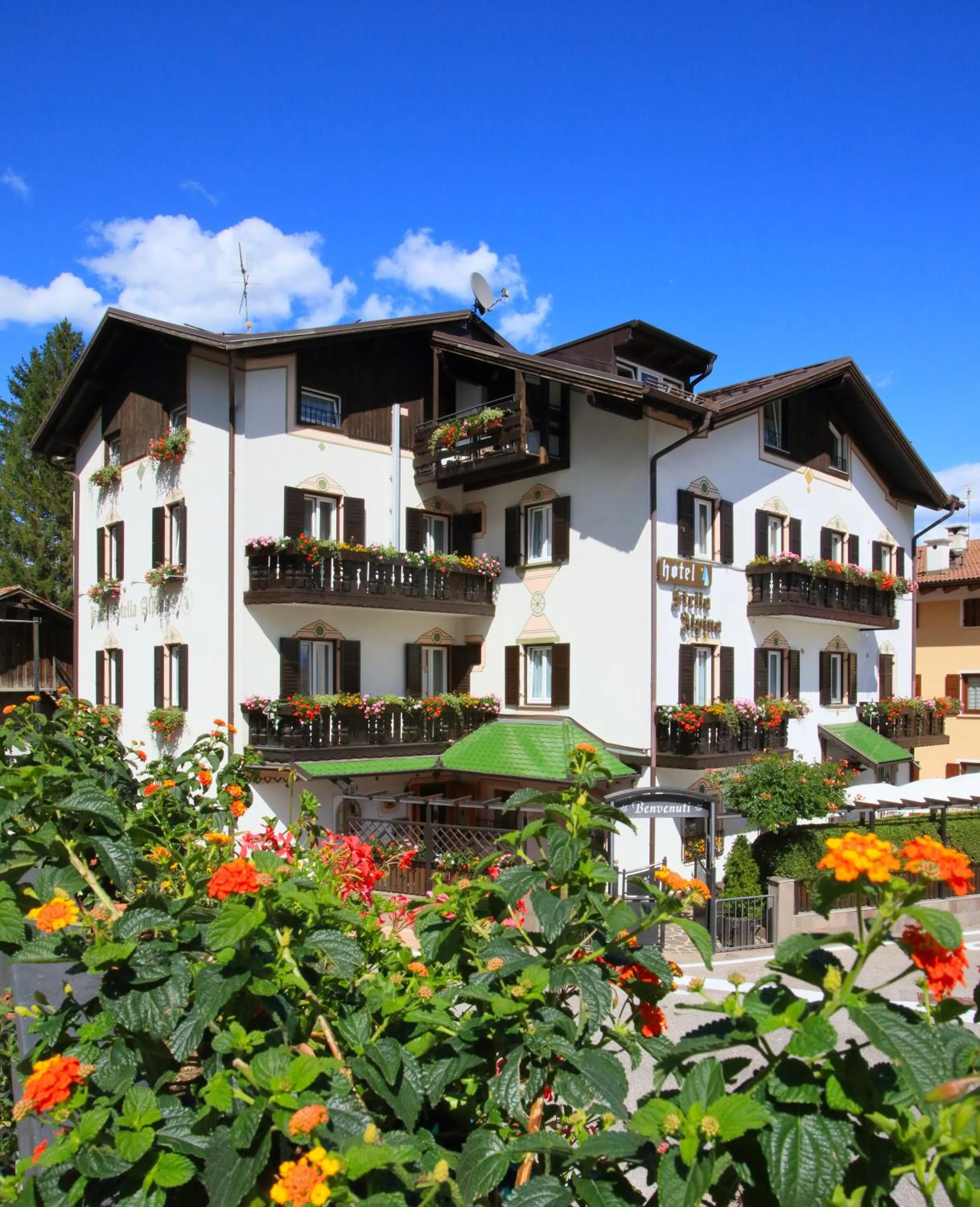 Property building in Hotel Stella Alpina