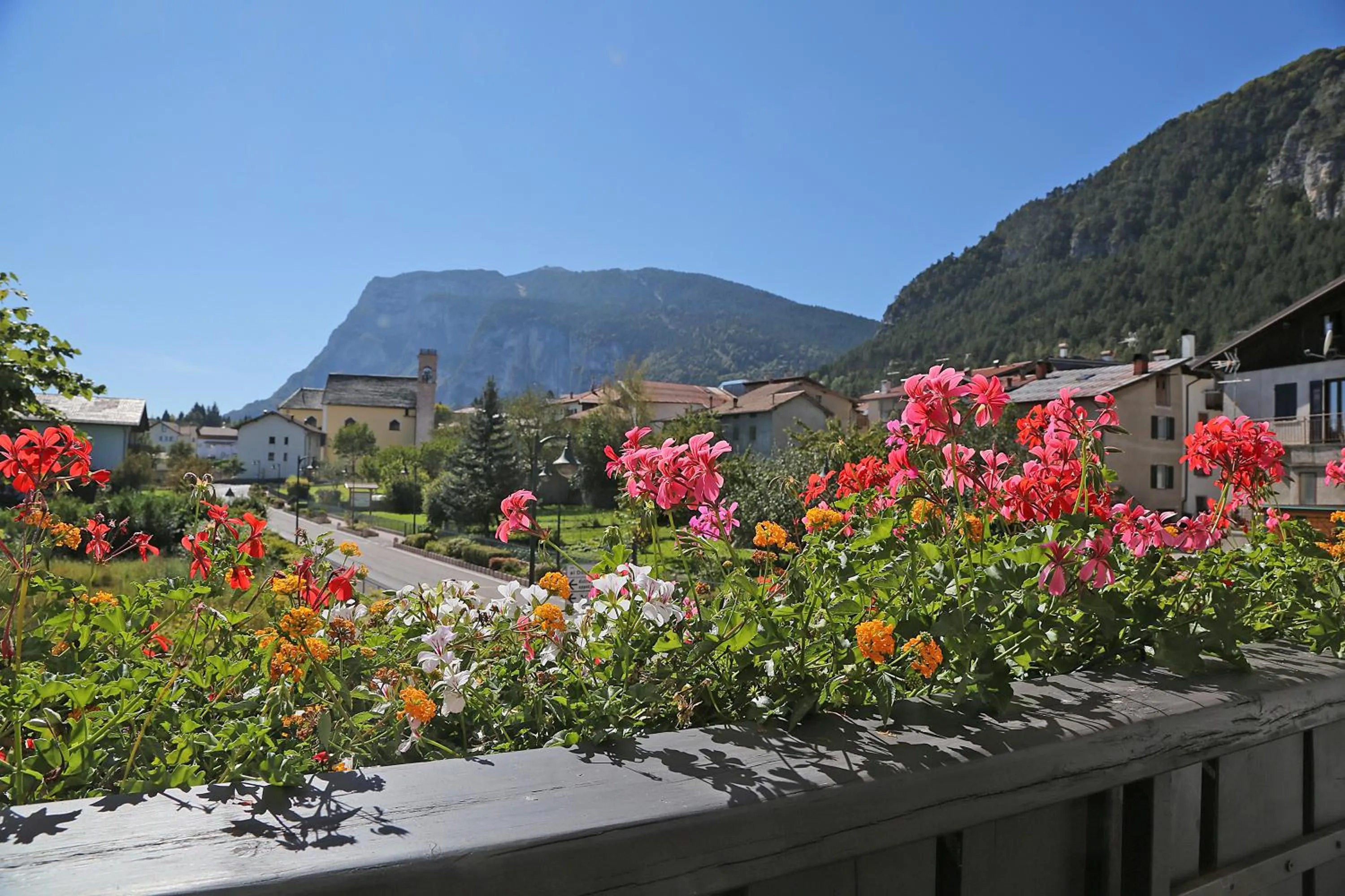 Balcony/Terrace in Hotel Stella Alpina
