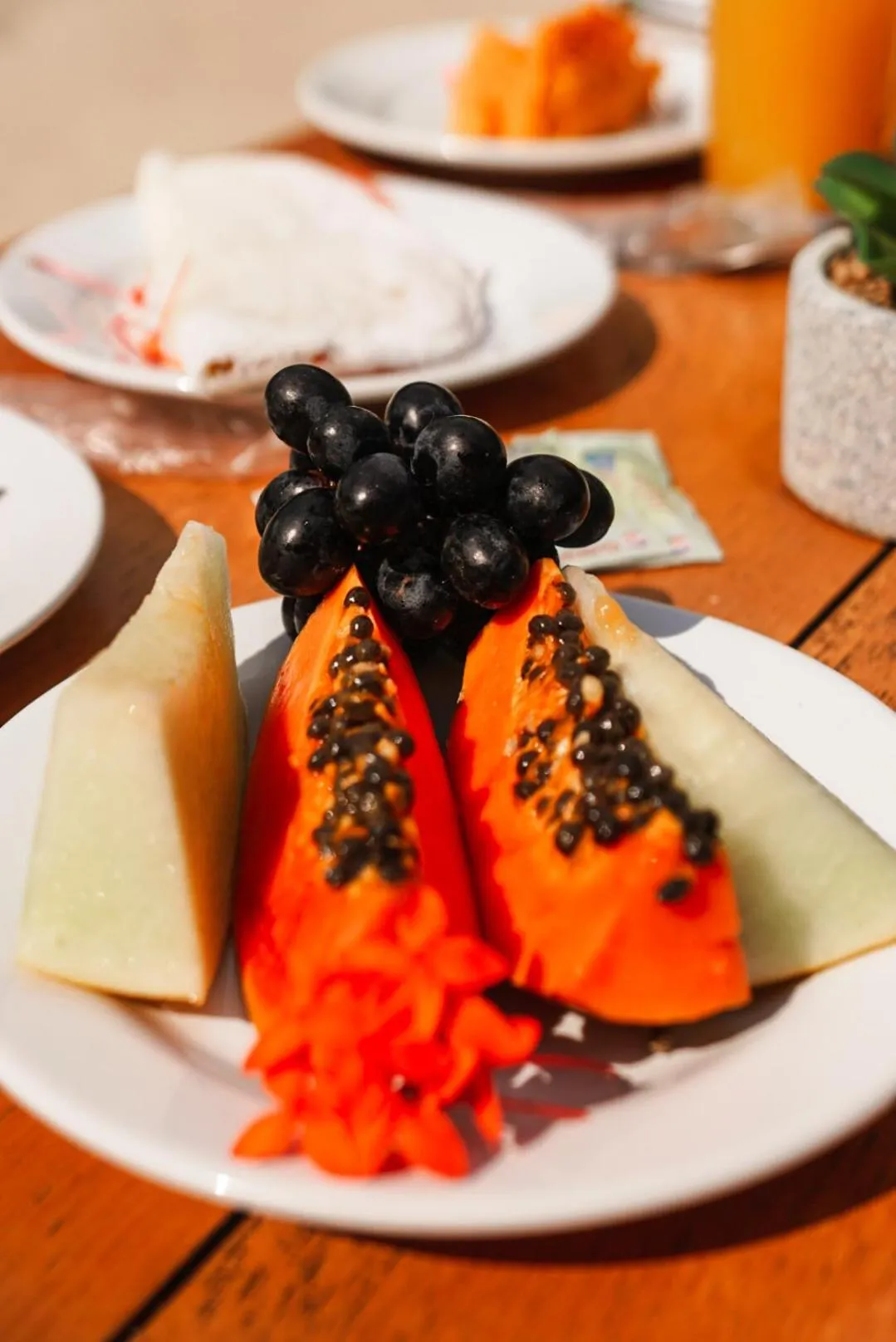 Pousada Villa Dos Sonhos