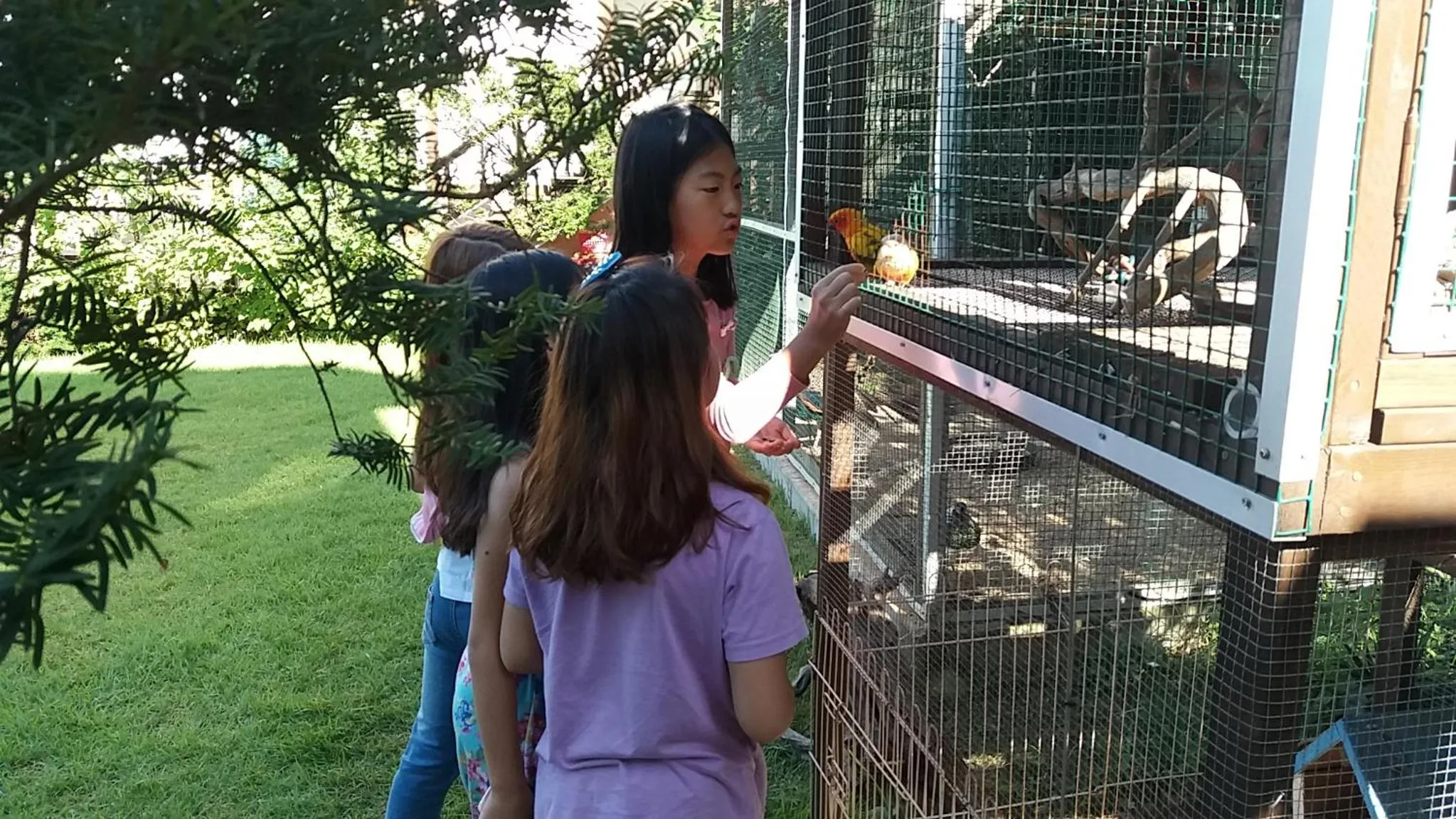 Garden in Forest of Color Pension