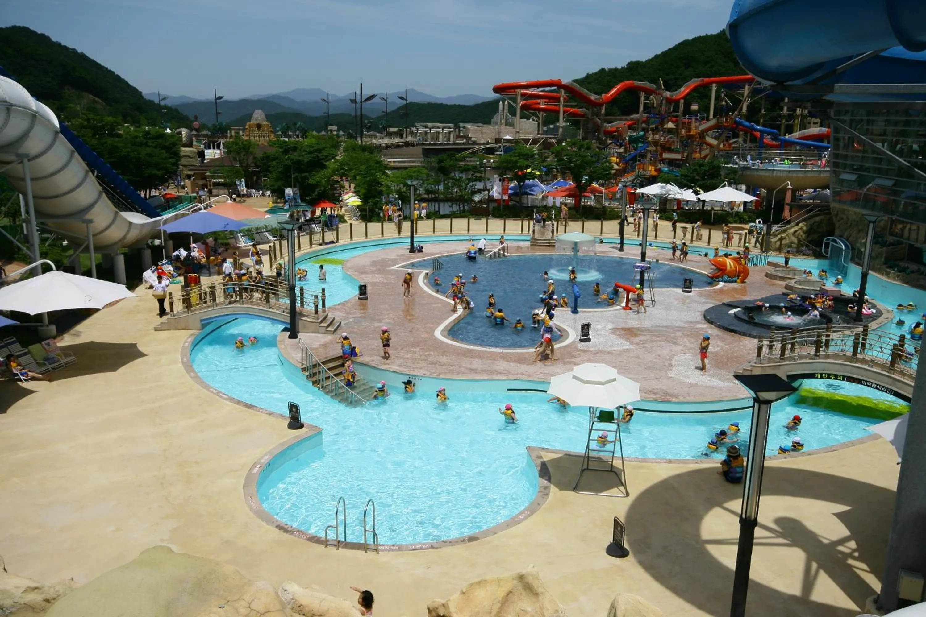 Sports in Forest of Color Pension