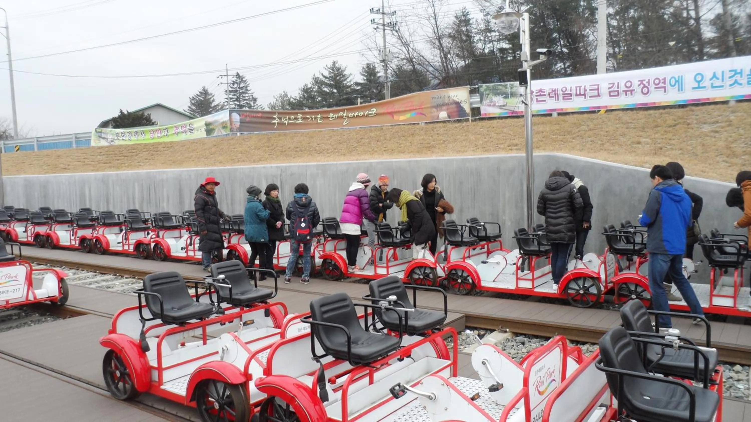 Sports in Forest of Color Pension