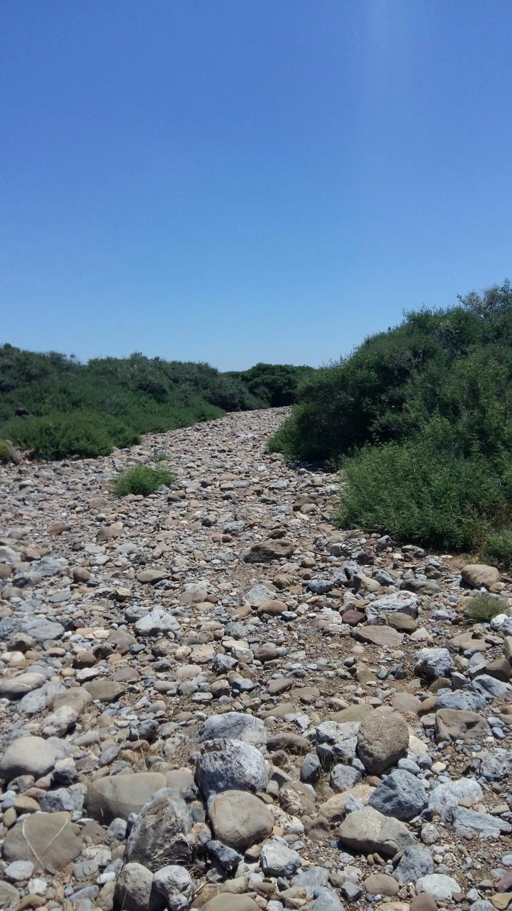 Off site in Flamingo Apartments