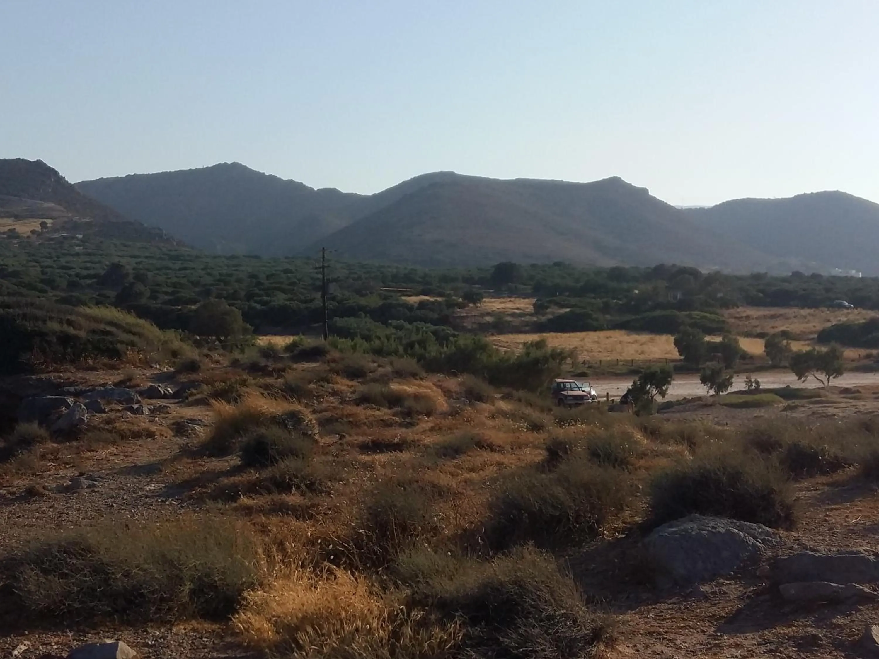 Off site in Flamingo Apartments