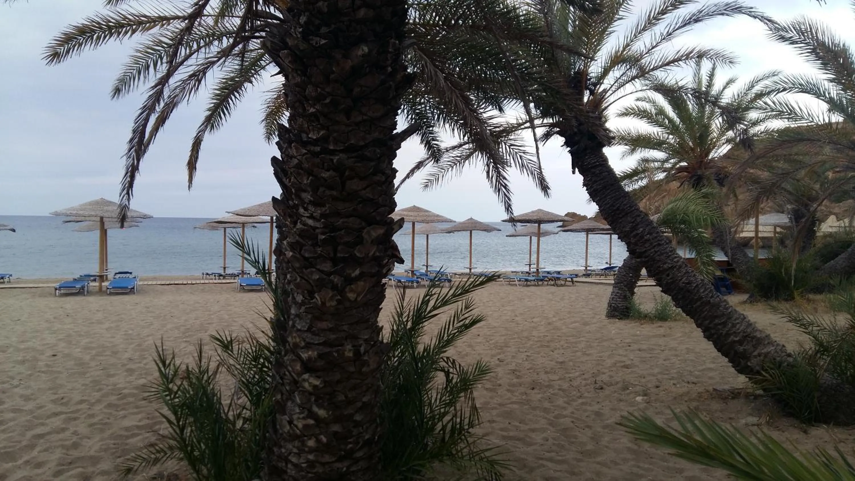 Off site in Flamingo Apartments