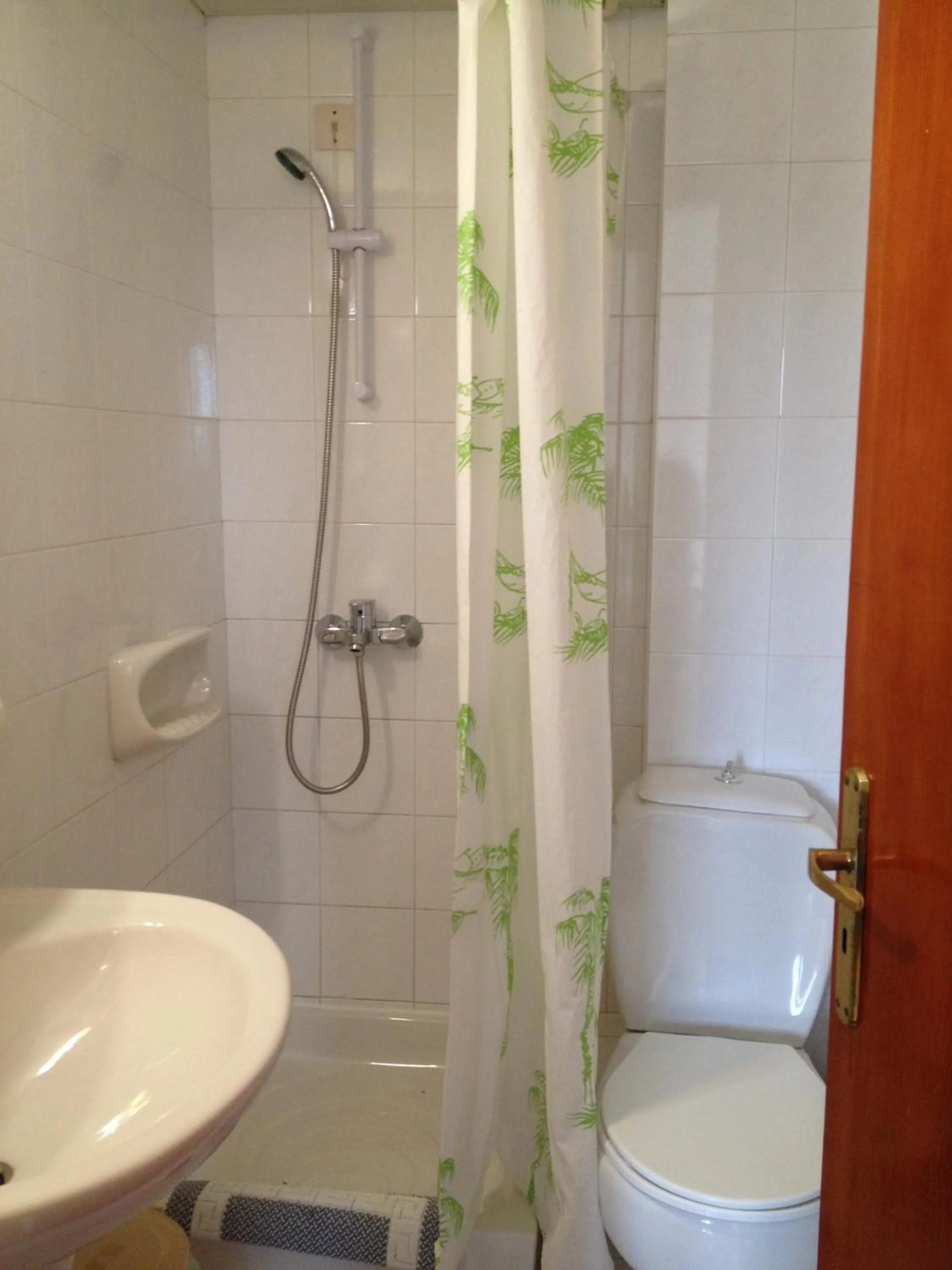 Shower in Flamingo Apartments