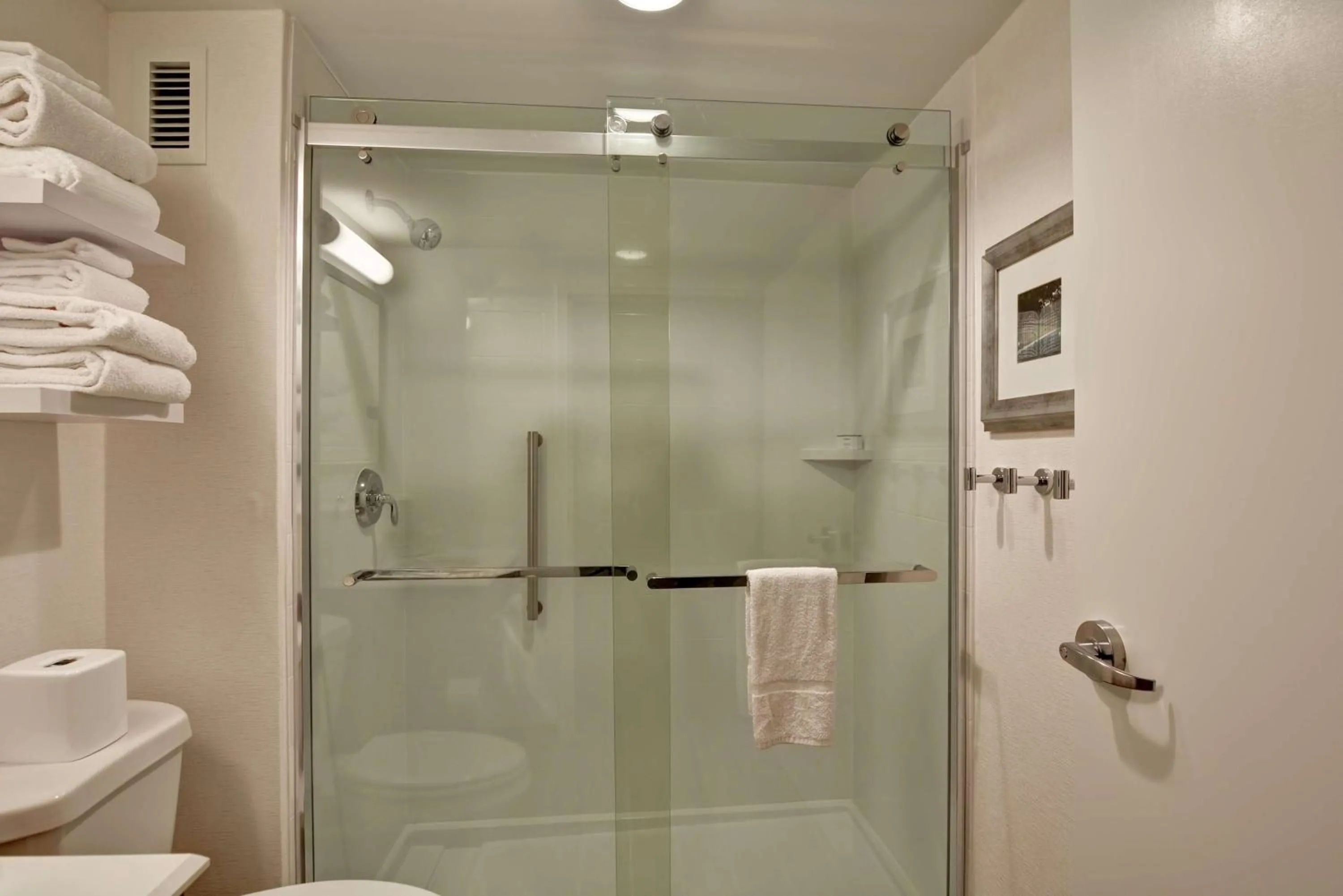 Bathroom in Hampton Inn Memphis-Poplar